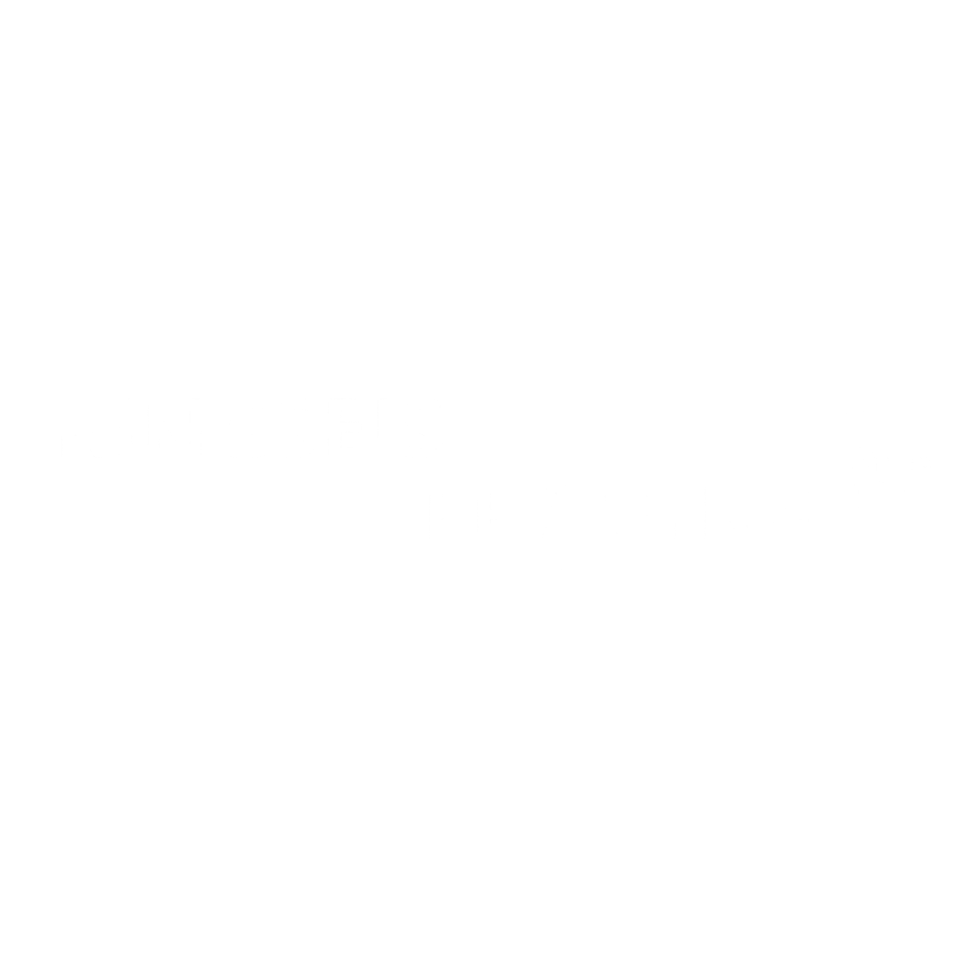 Ringseis-logo-white.png