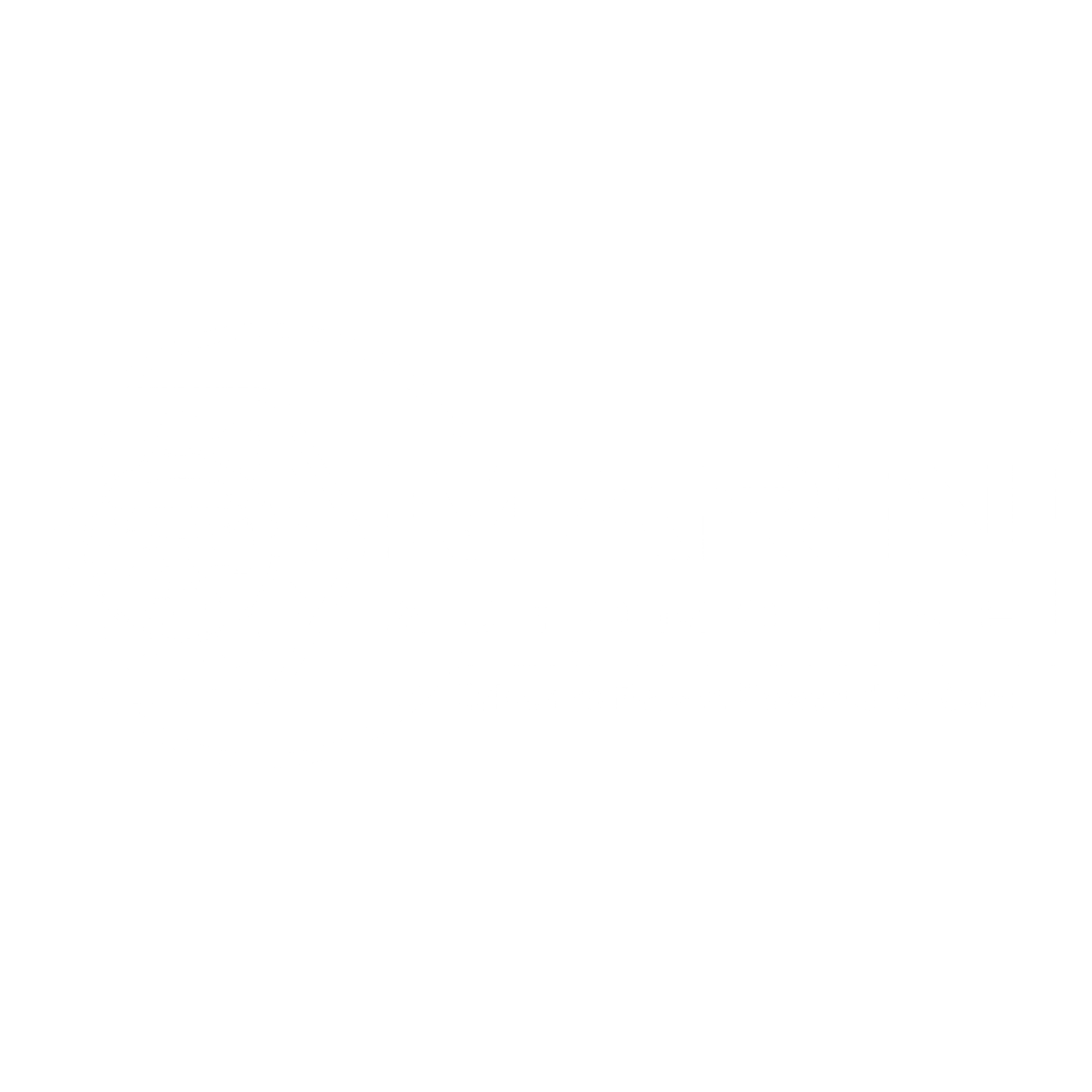 Marin automotive-logo-white.png