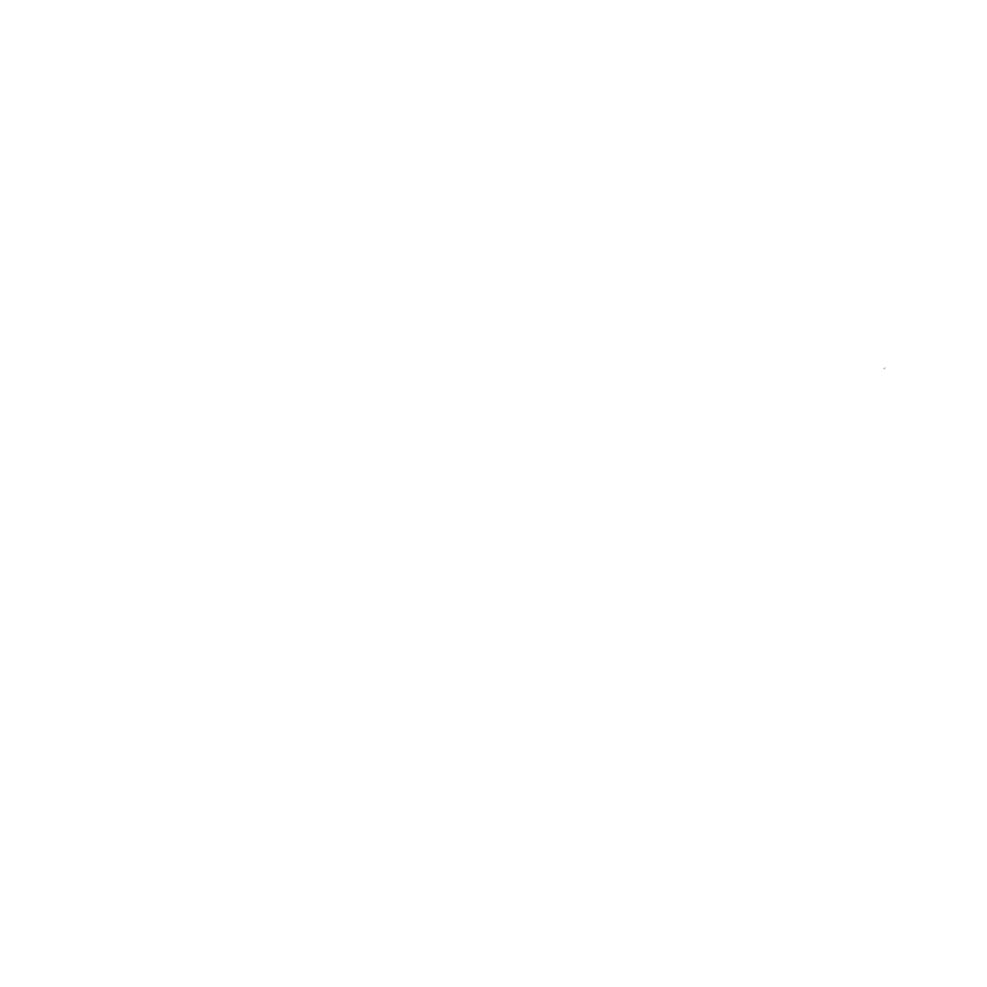 Picarotto cleaners-logo-white.png