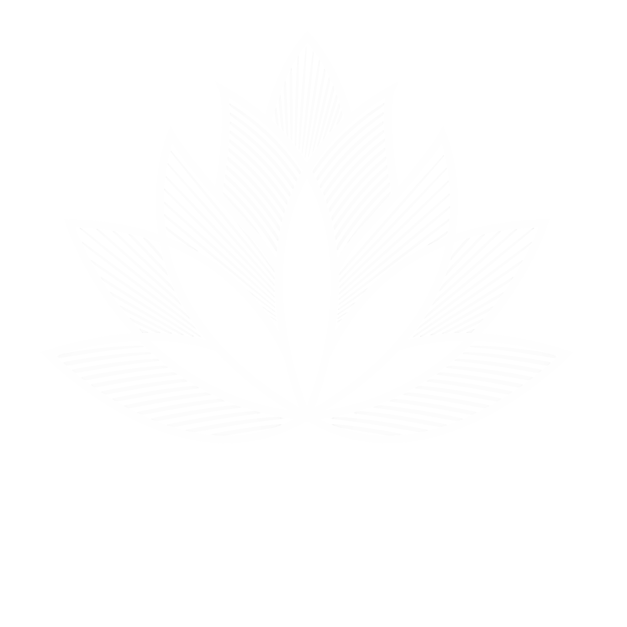 La flor-logo-white.png