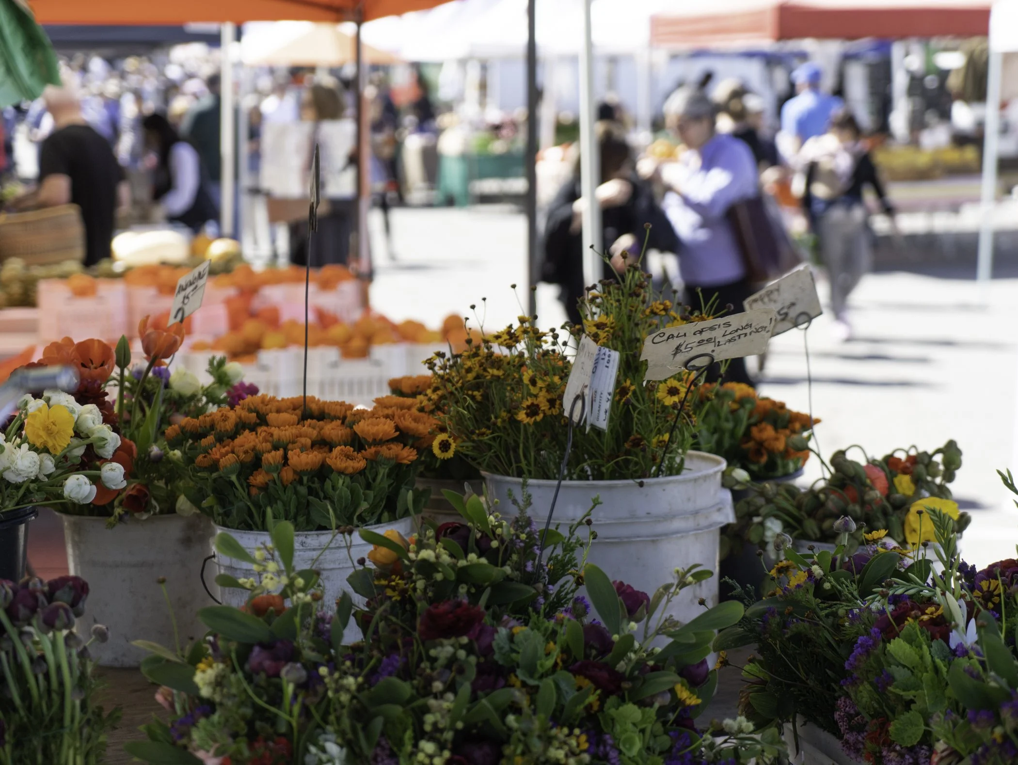 Various colorful flowers and plants displayed at an outdoor market with blurry shoppers and market stalls in the background.