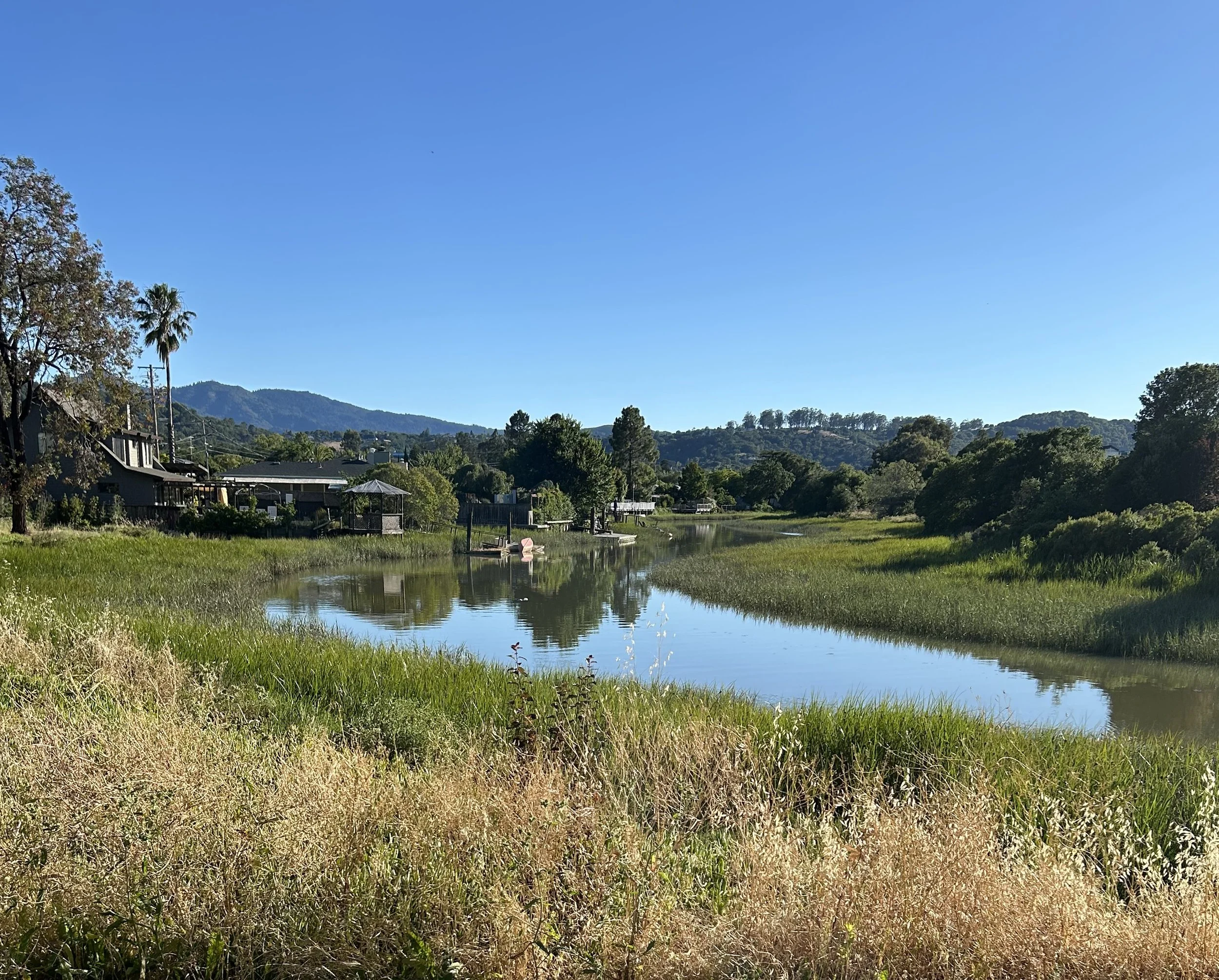 Pond_IMG_1363.jpg