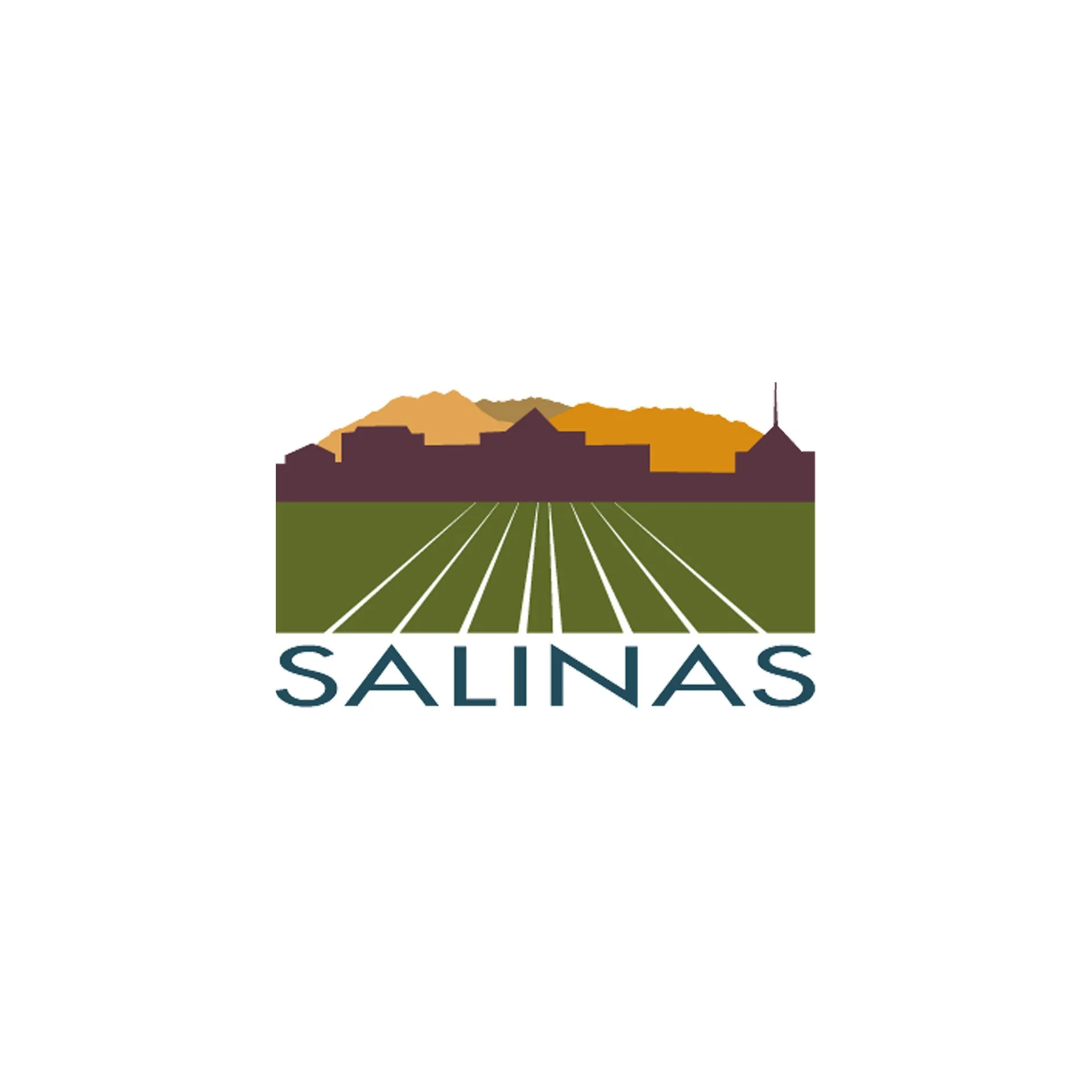 city of salinas.jpg