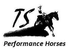 TS Performance Horses