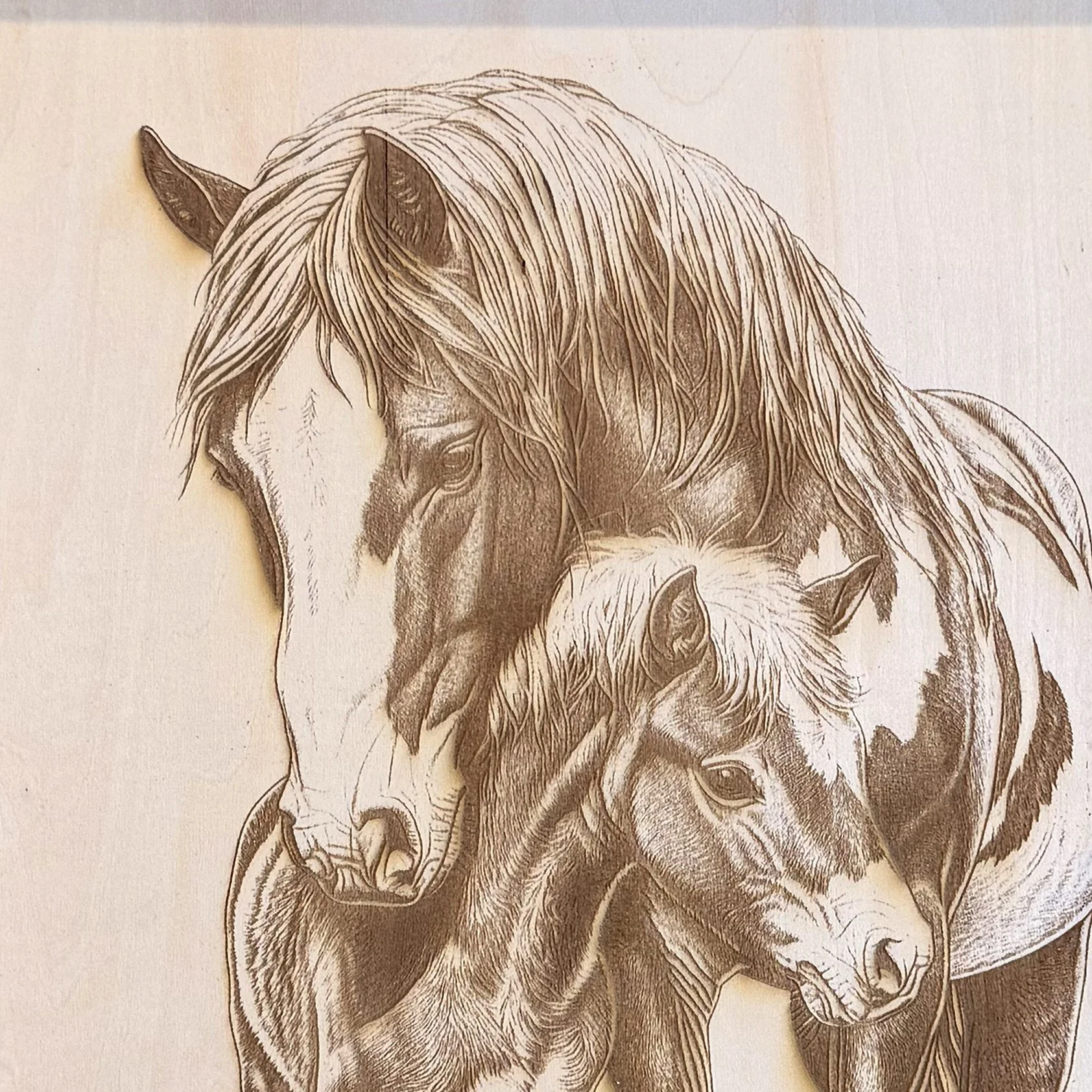 PaintHorse-2CU.jpg