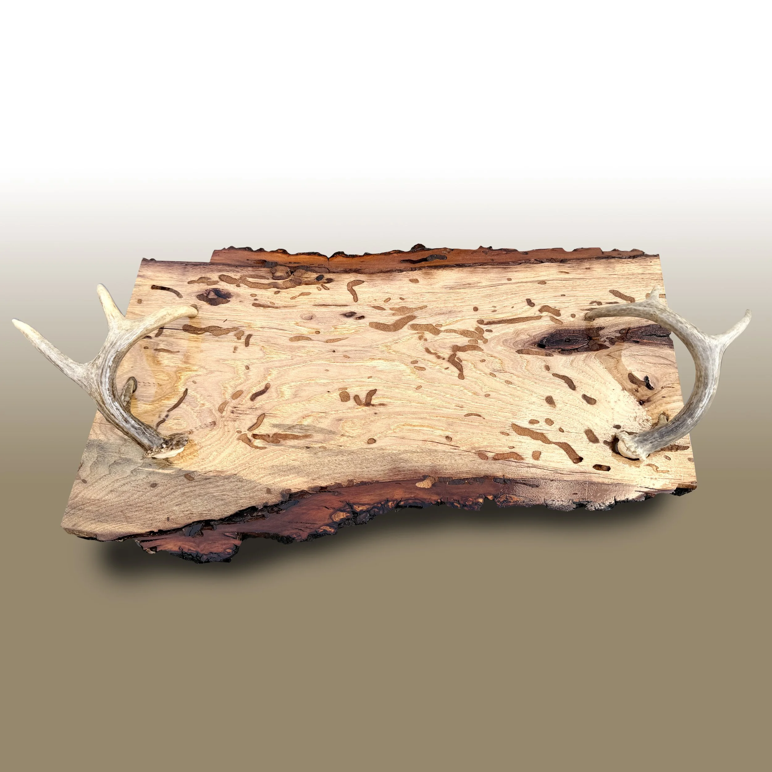 A piece of weathered wood with ant holes and cracks, next to two deer antlers on a plain background.