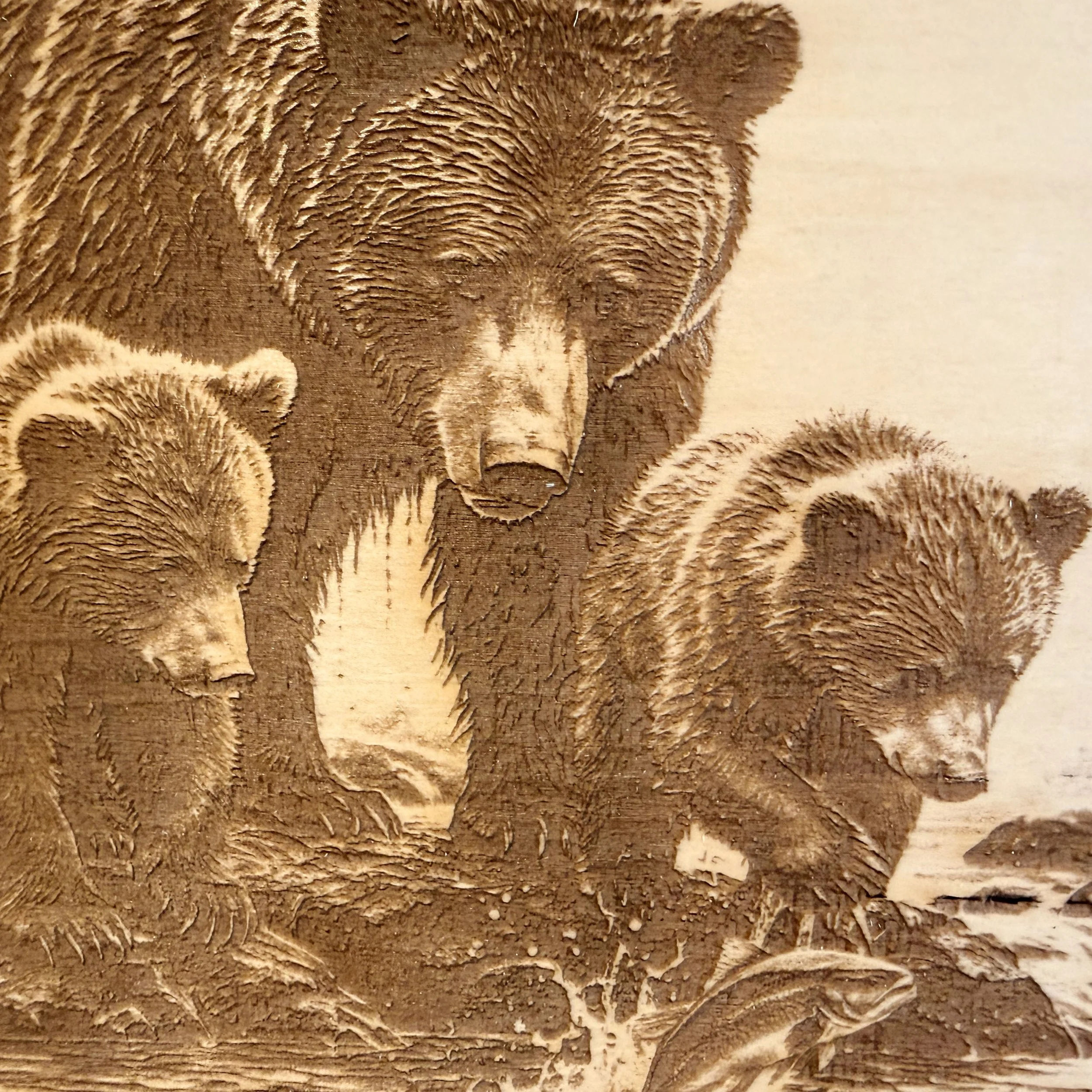 BearCU.jpg
