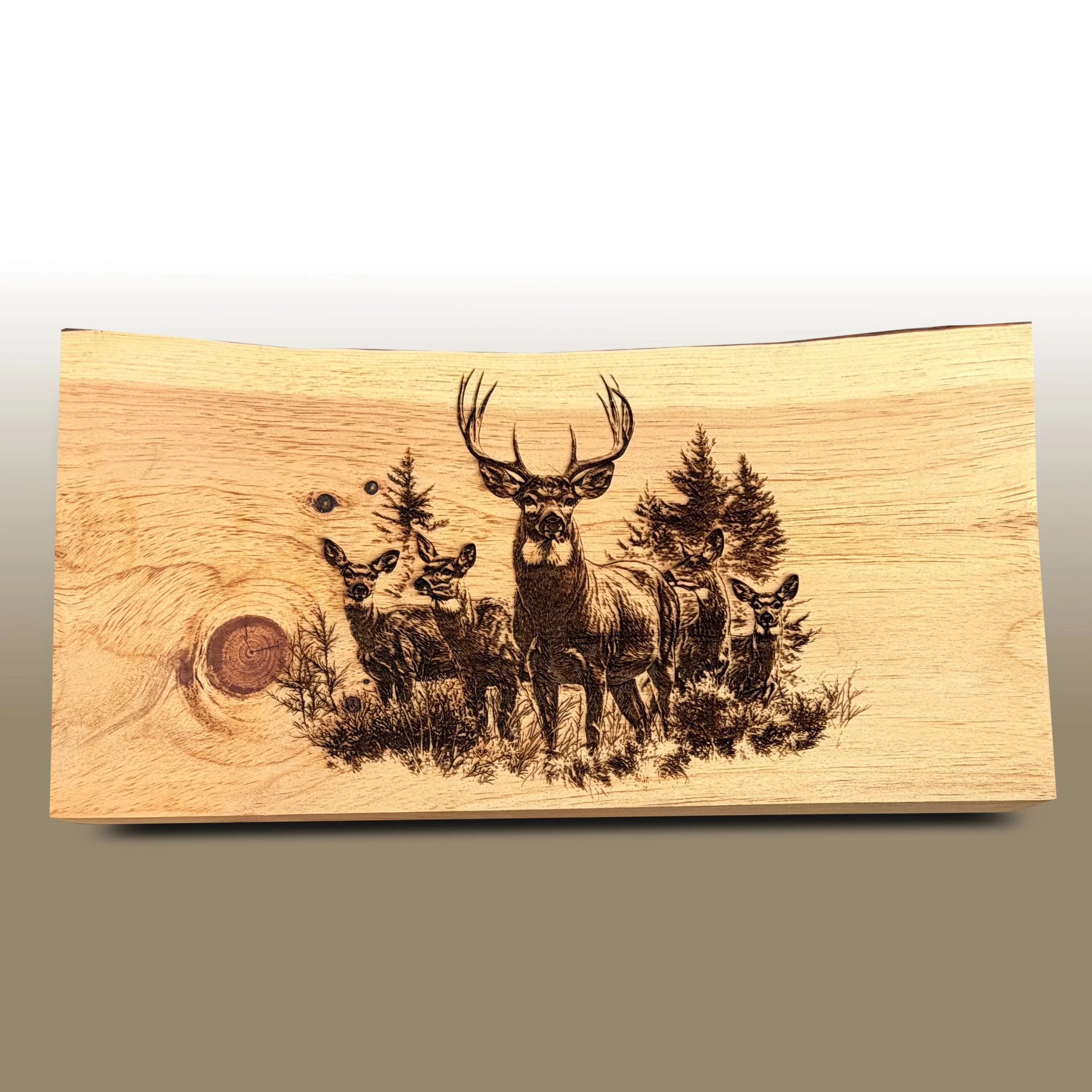 A wooden sign engraved with a deer head and forest scene, set against a white and gray background.