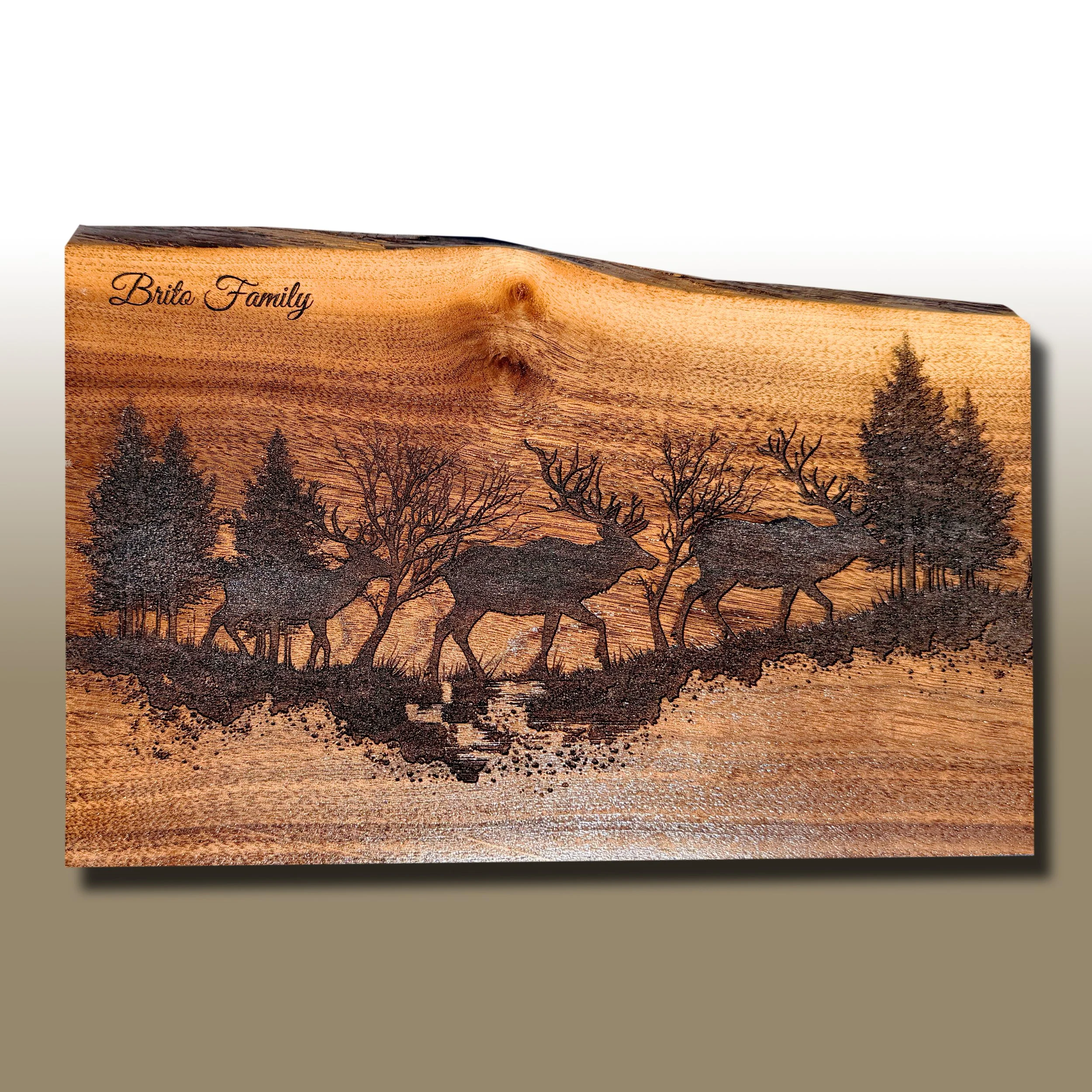 A wooden plaque with the words 'Brite Family' engraved on it, featuring a landscape scene of trees and a sunset.