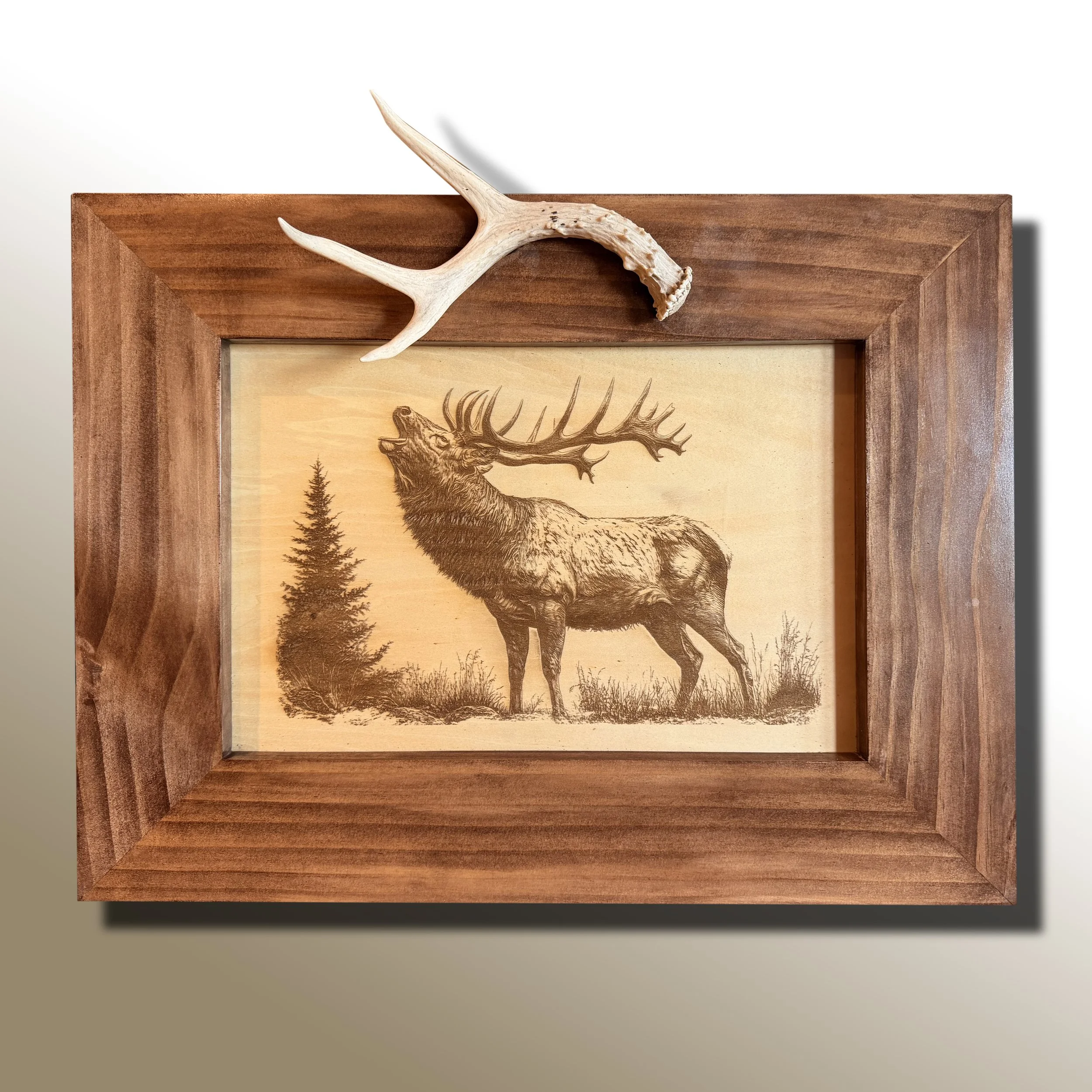 Echoes of the Rut, Laser Engraved Elk Wall Art