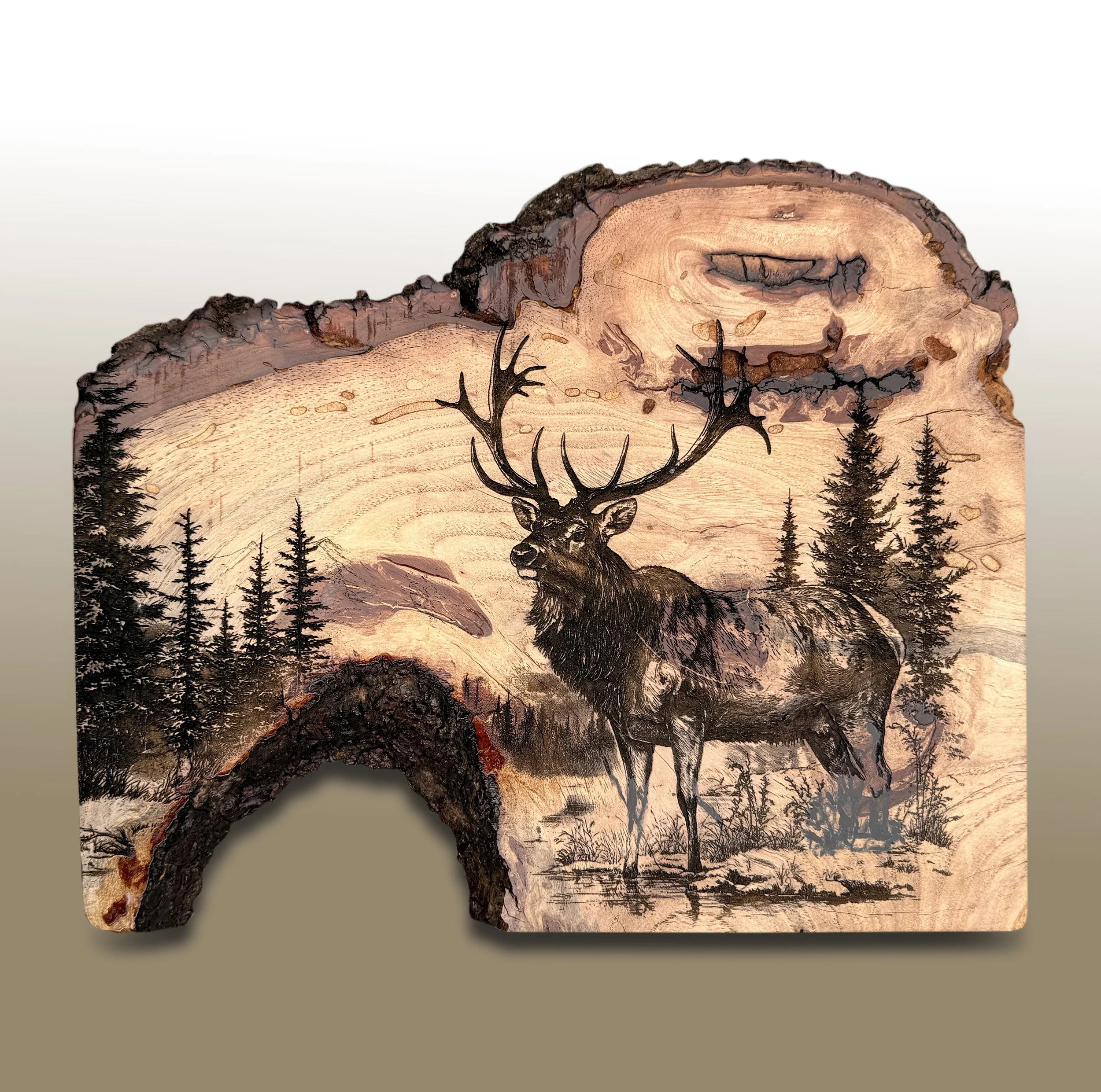 Bull Elk Knife Holder