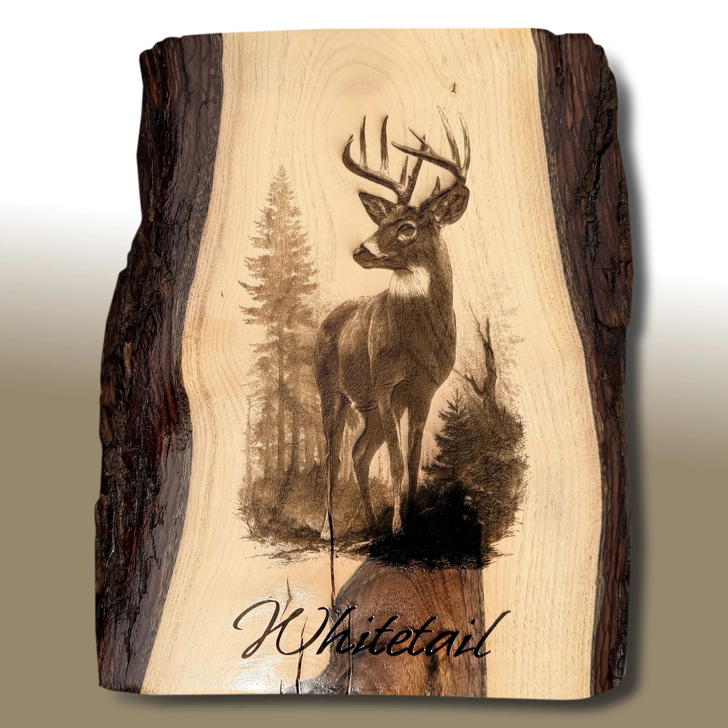 Laser Engraved Whitetail Deer