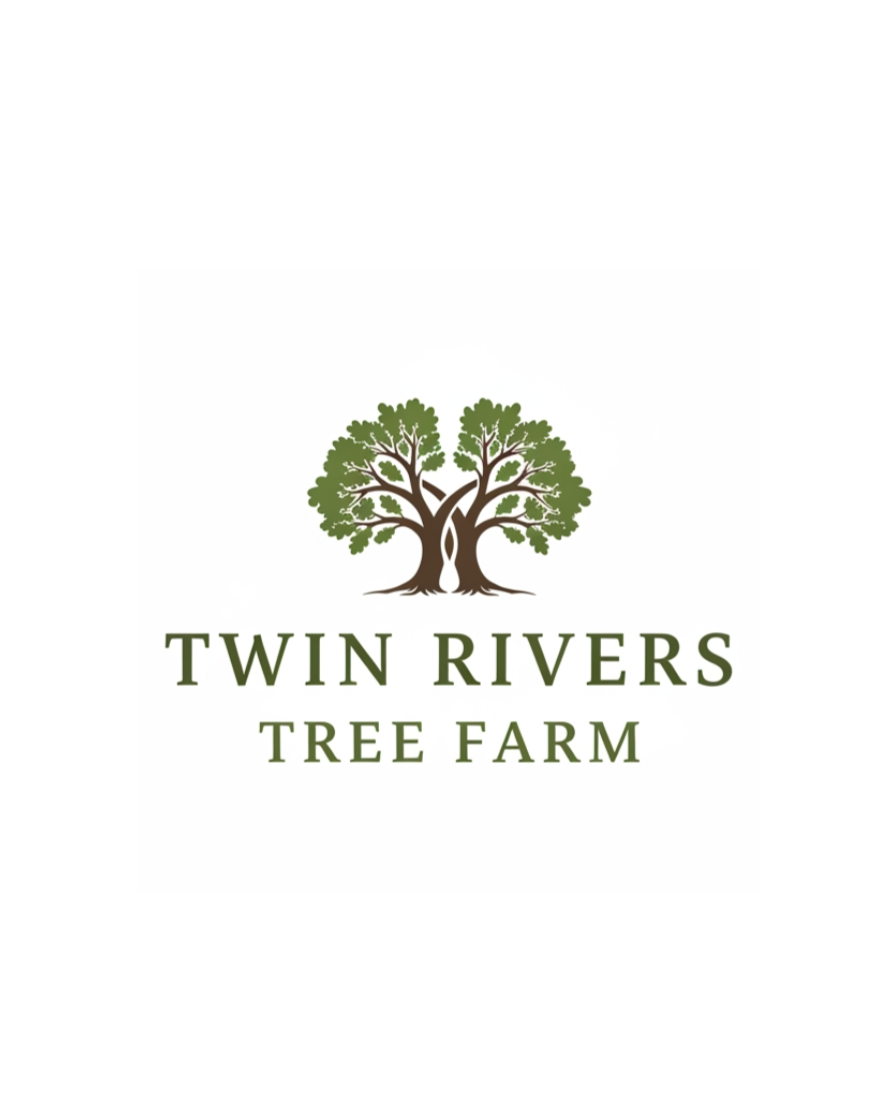 Logo of Twin Rivers Tree Farm featuring two stylized trees with intertwining trunks and green foliage, and text below reading "Twin Rivers Tree Farm."