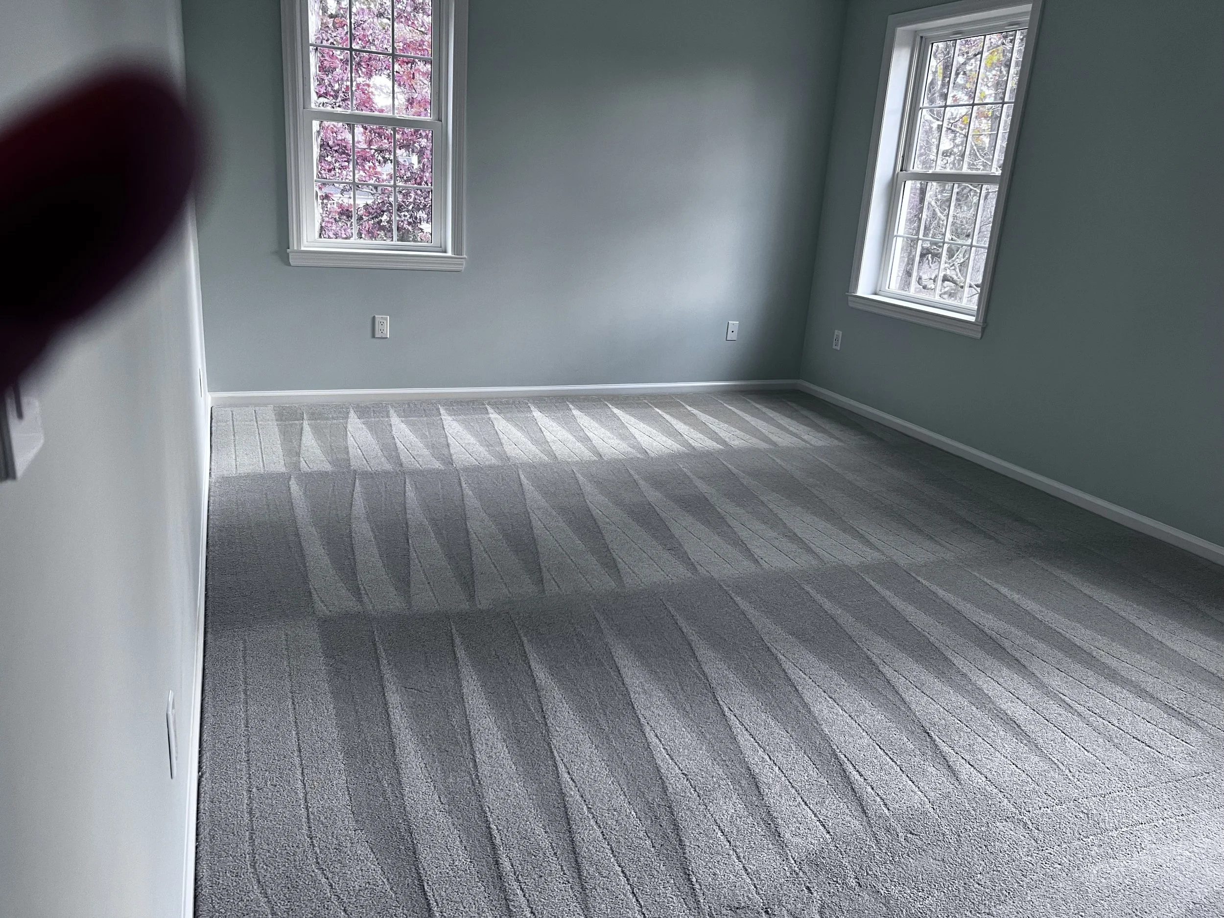 Professional Carpet Cleaning