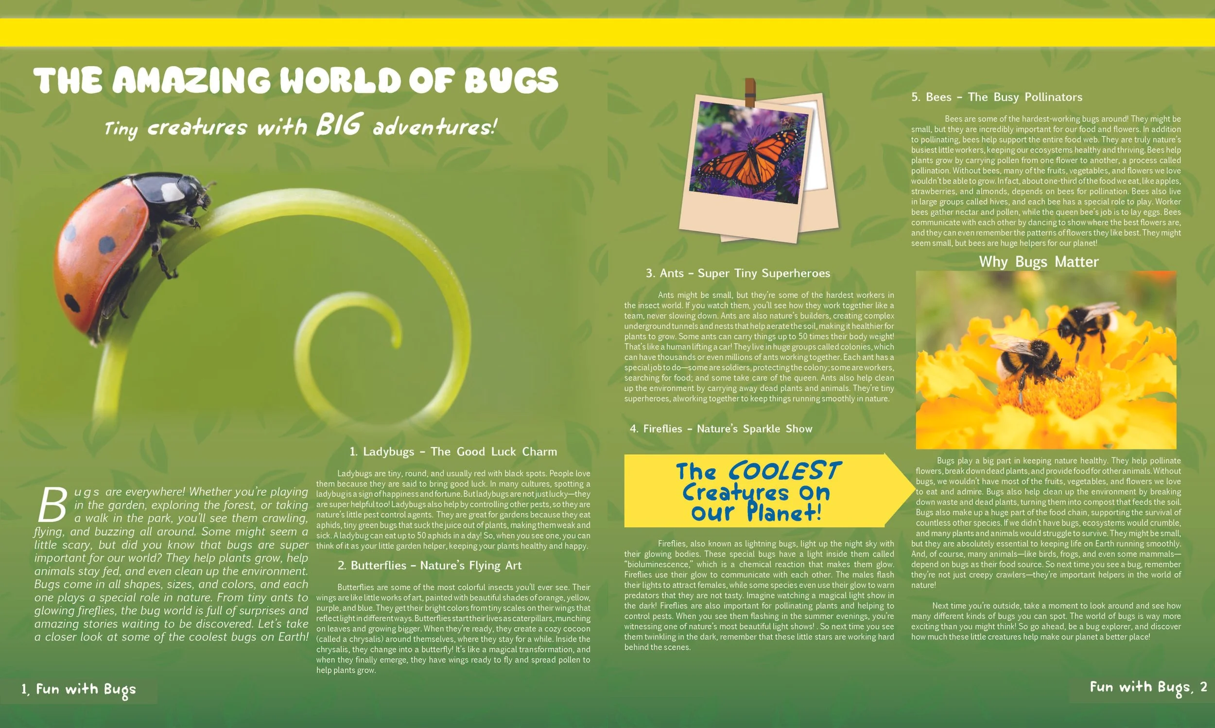 2025 | The Amazing World of Bugs |  Children's Magazine Editorial Spread