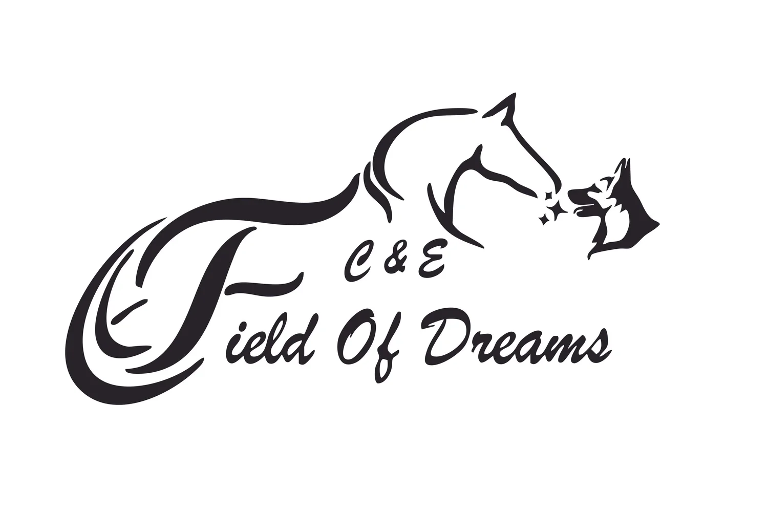 C &amp; E Field of Dreams