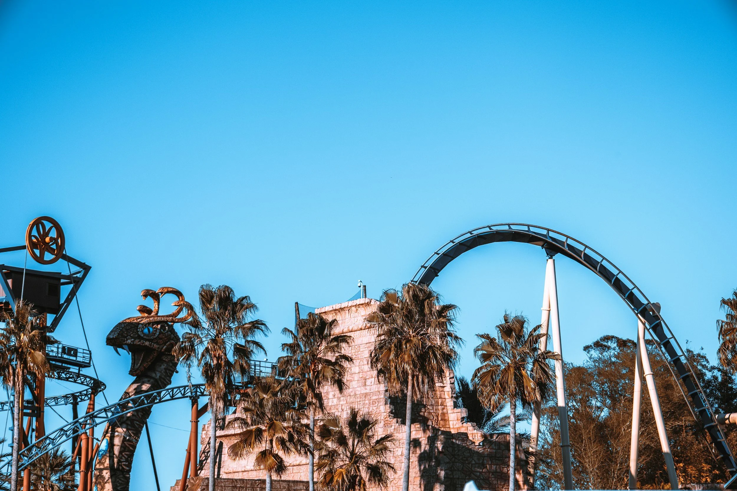 Part of a roller coaster at an amusement park with tall trees and a clear blue sky in the background.