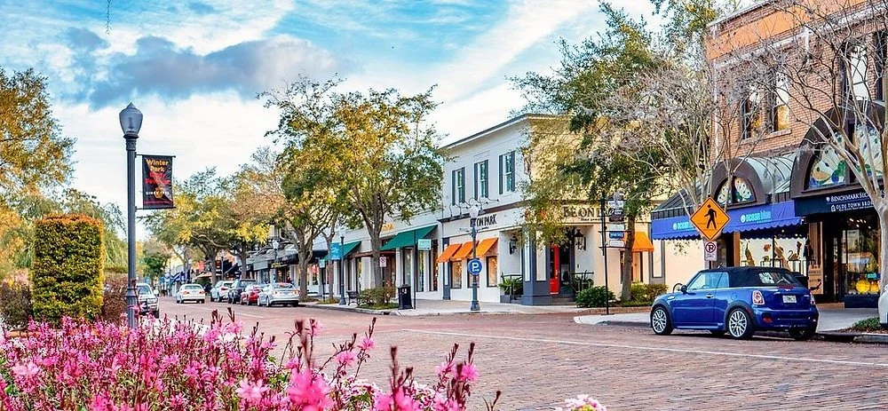 Downtown street with shops, trees, parked cars, pink flowers in the foreground, and a clear sky.