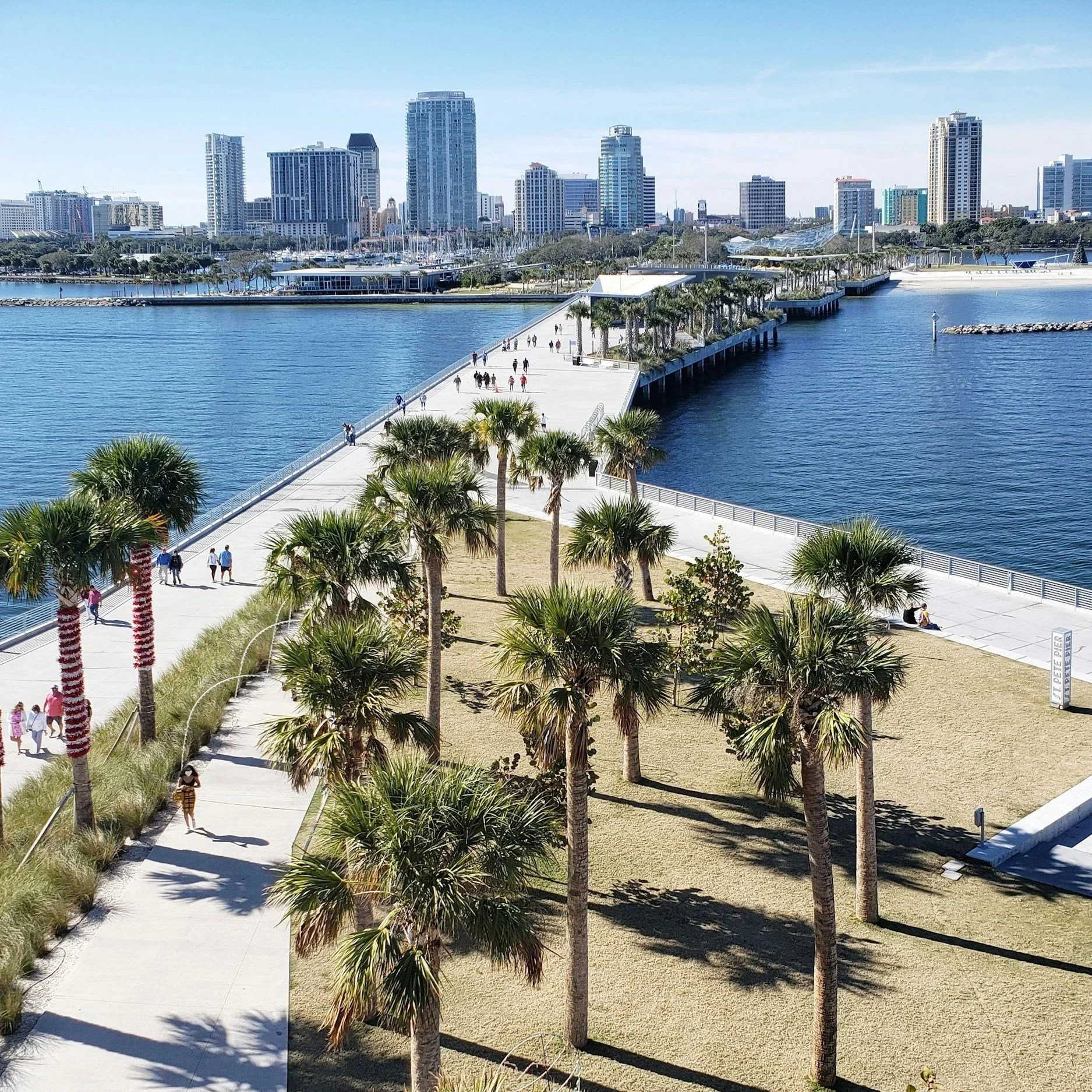 A coastal city skyline with modern high-rise buildings viewed over a waterfront park with palm trees, a walkway, and people walking.