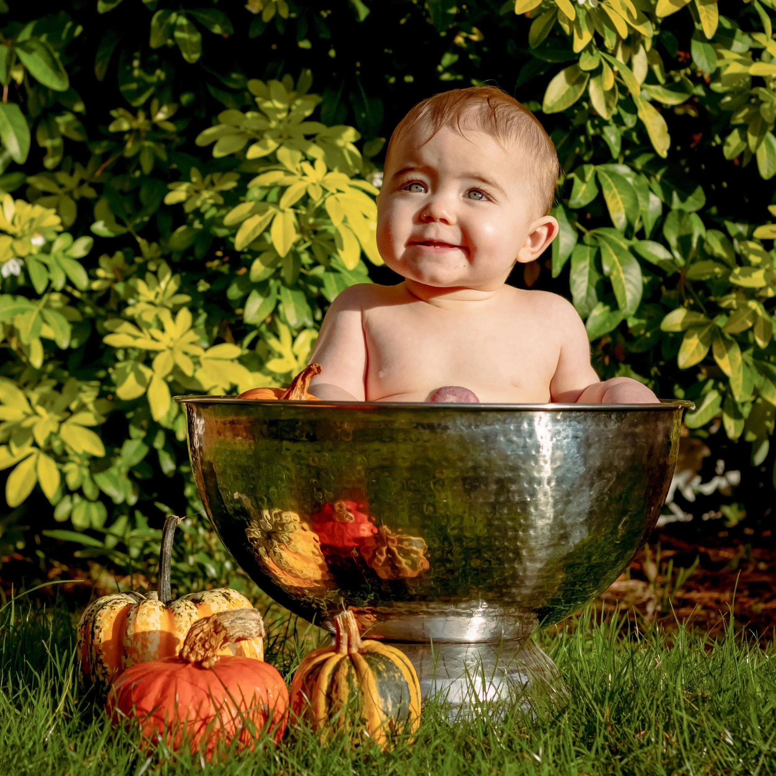 A cheerful baby with blue eyes and wet hair sitting in a metal bowl outdoors, surrounded by pumpkins and fall foliage.