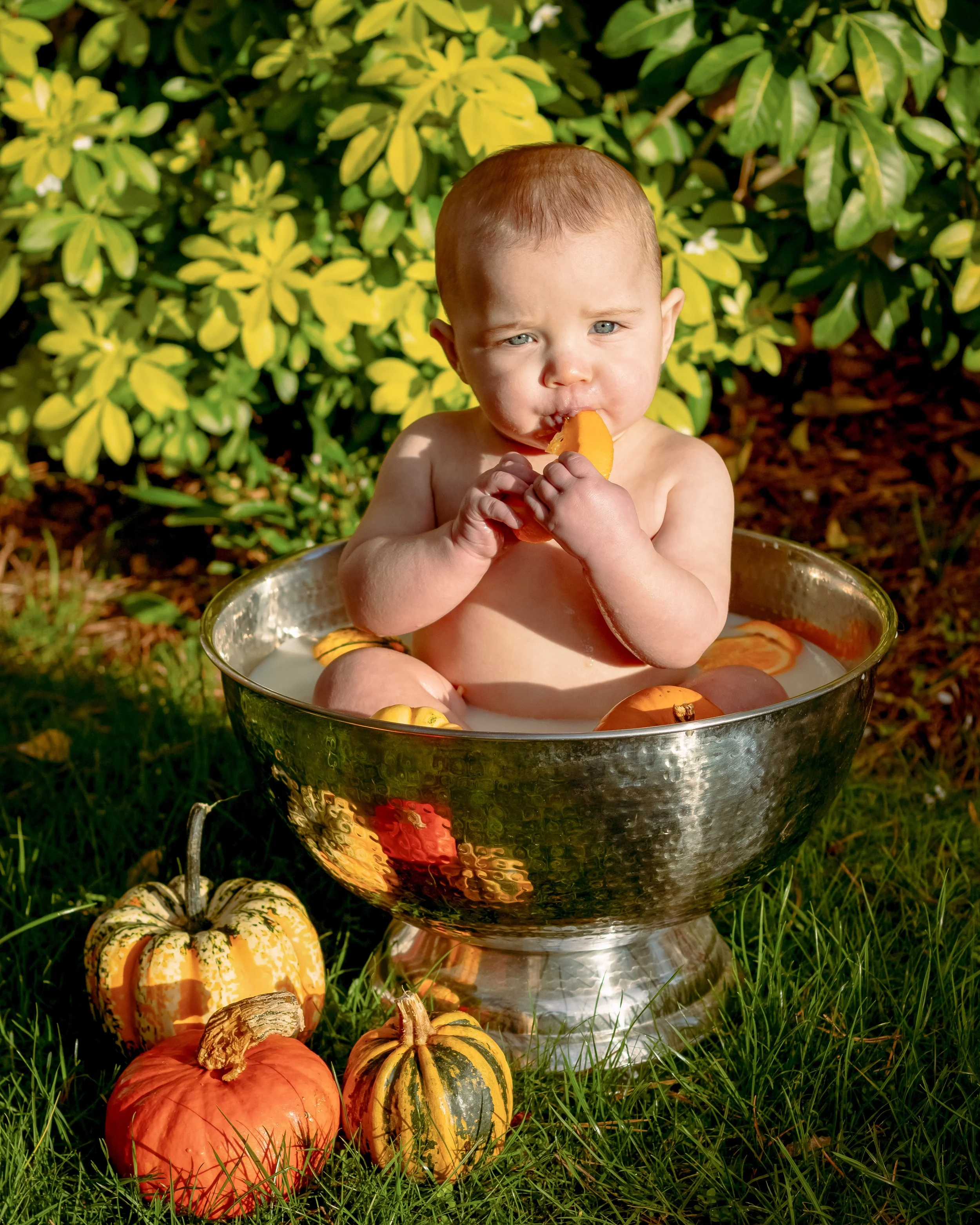 A young child with blue eyes and red hair sitting in a metal basin filled with small pumpkins, gourds, and squash, outdoors with green and yellow foliage in the background.