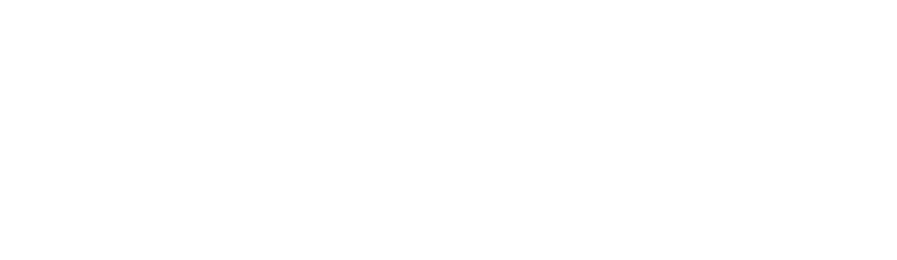 Northeast Fly Fishers International