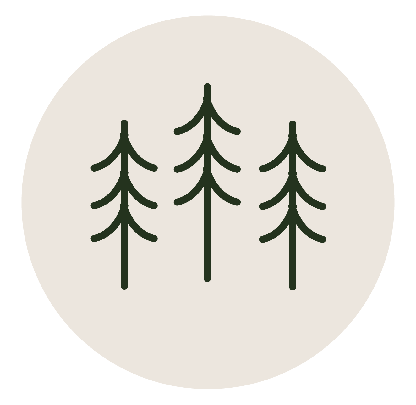 Evergreen trees icon representing the outdoor activities