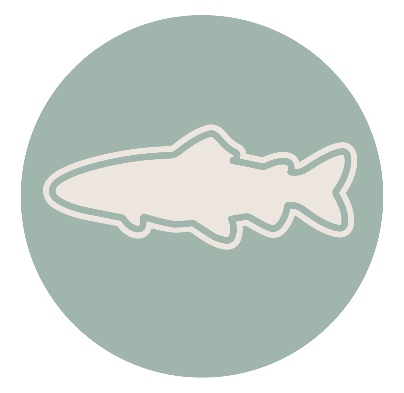 Fish illustration icon representing fly fishing presentations & demos