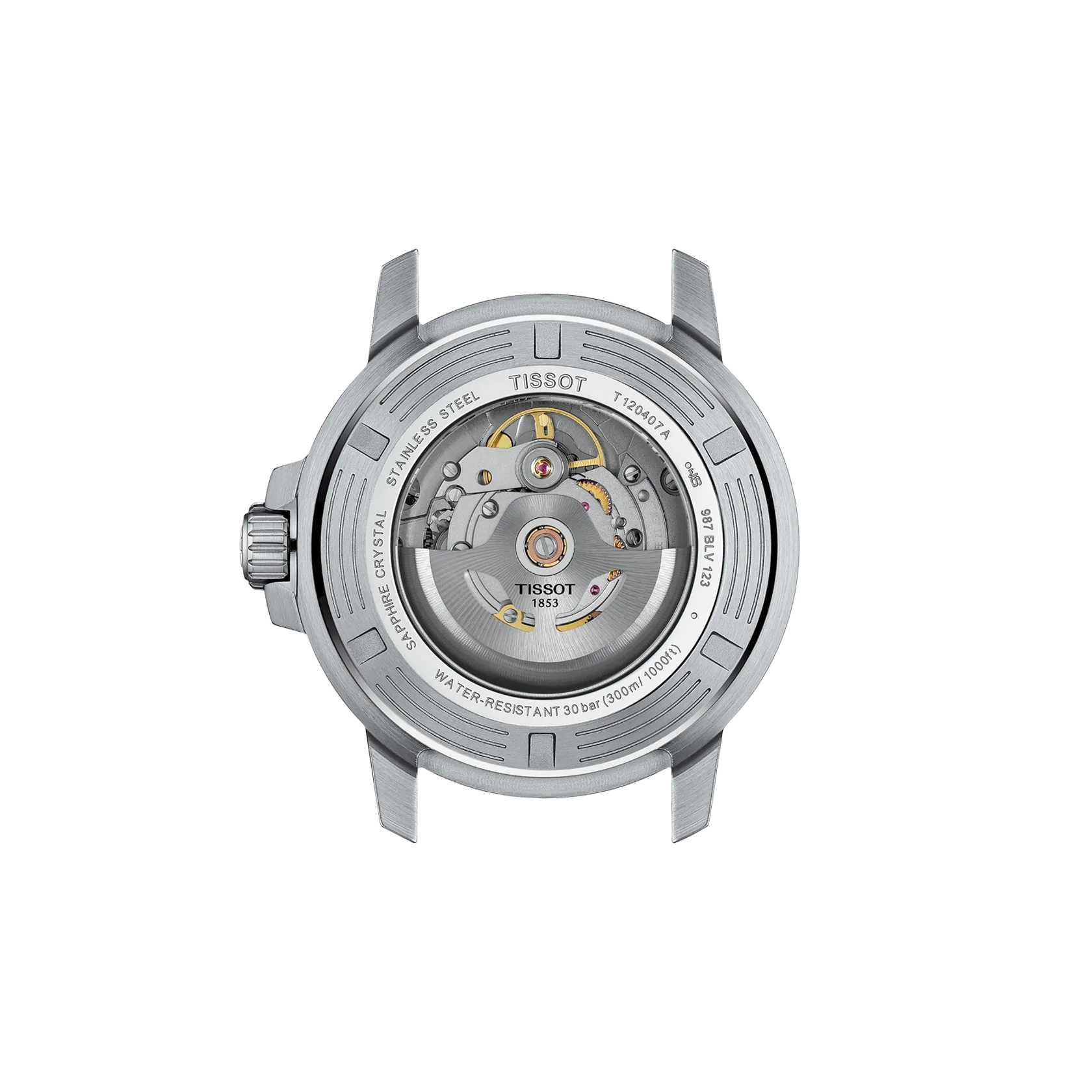 a8705e49-627a-4d21-b5b5-05cf0debe09e_T120_407_11_091_01_B1.png