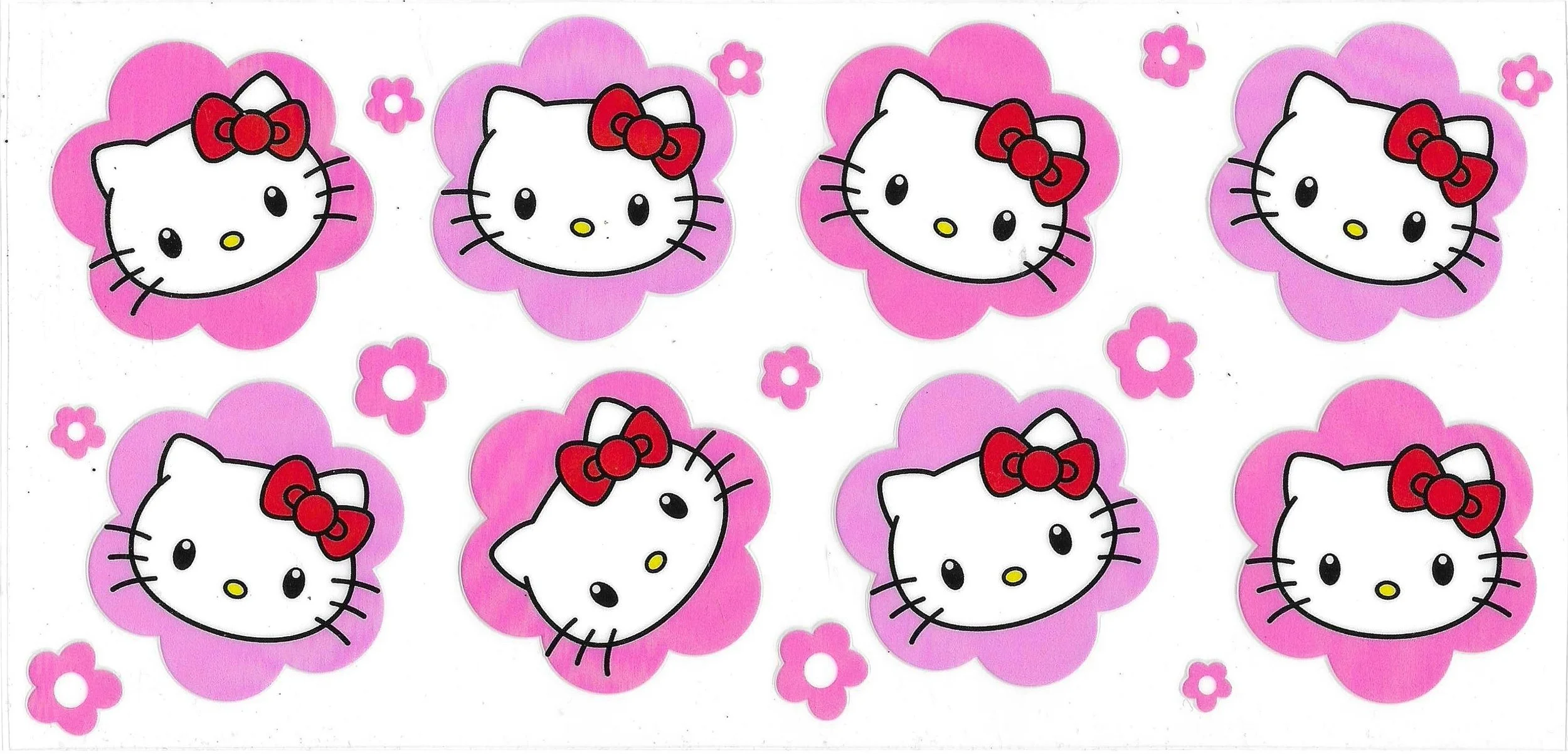 Kitty #6