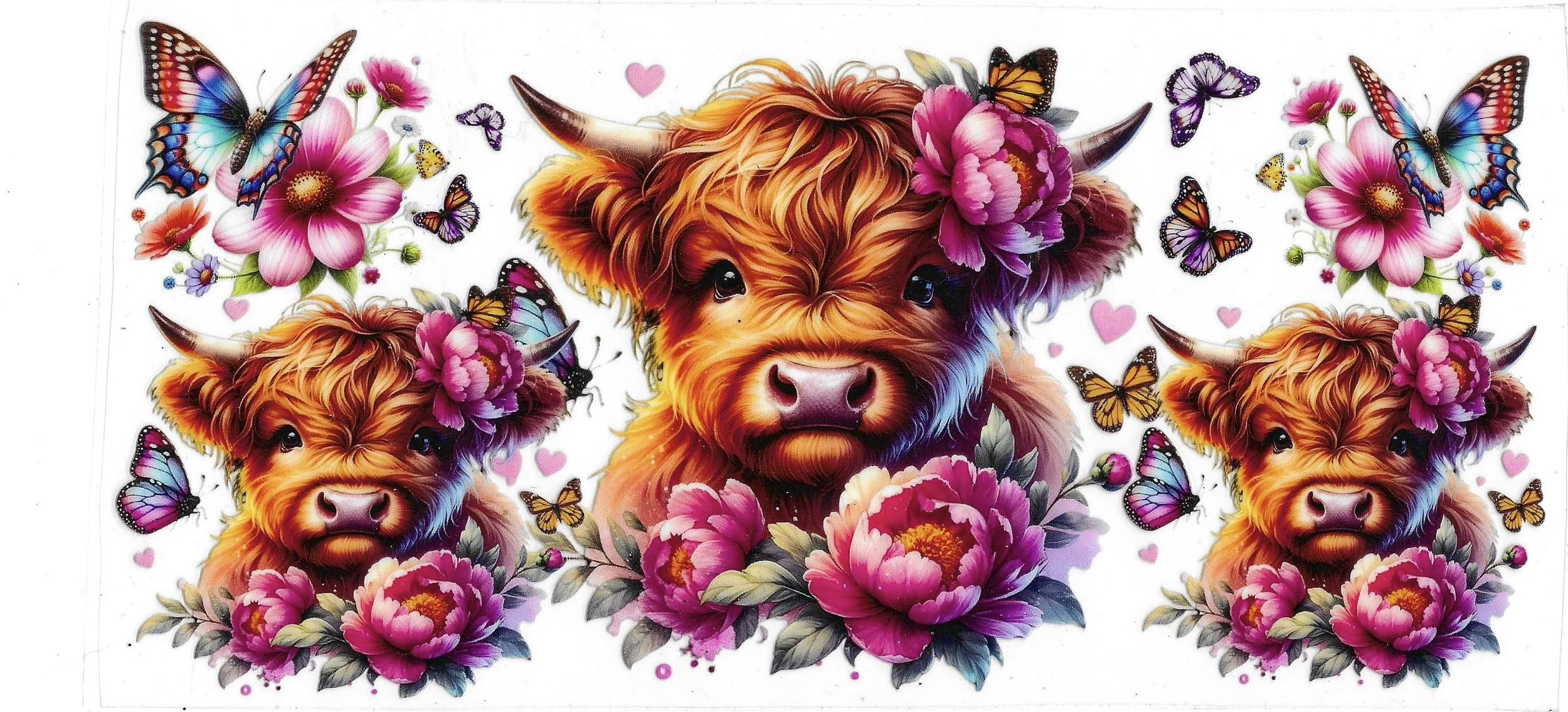 Highland Cow #15