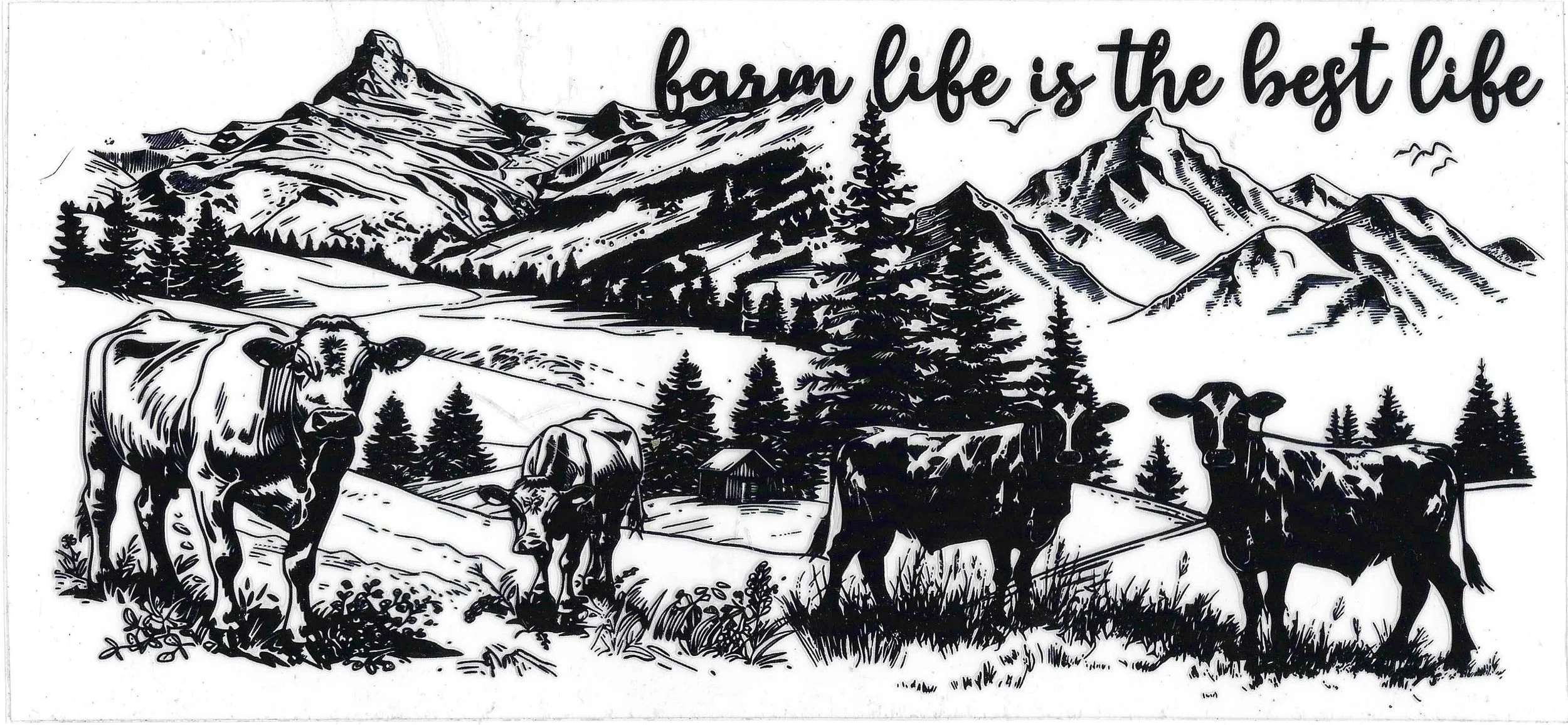 Highland Cow #59