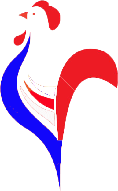 Abstract stylized rooster with red, white, and blue colors.