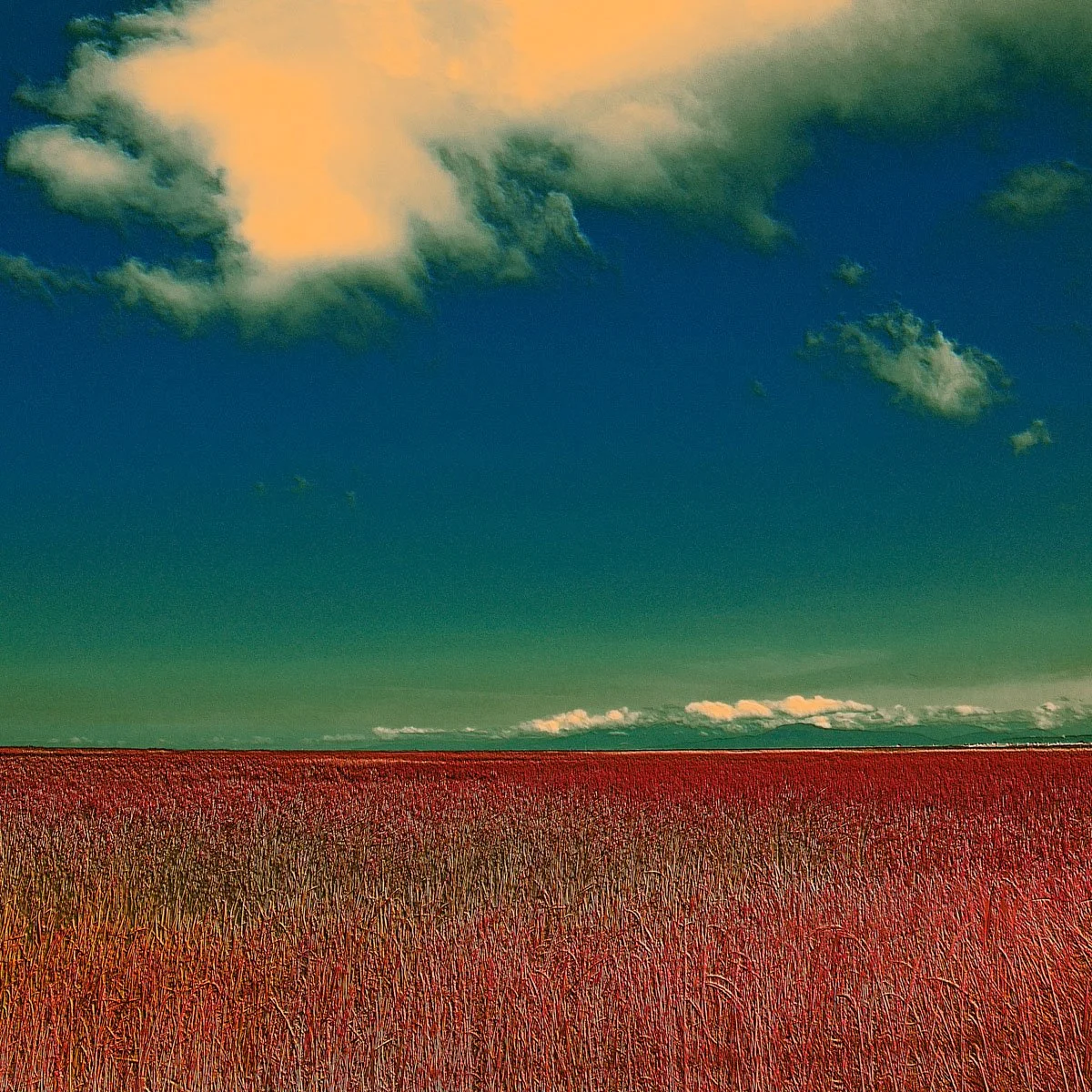 Horizon