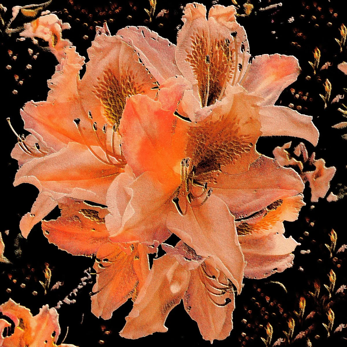 Orange Spring