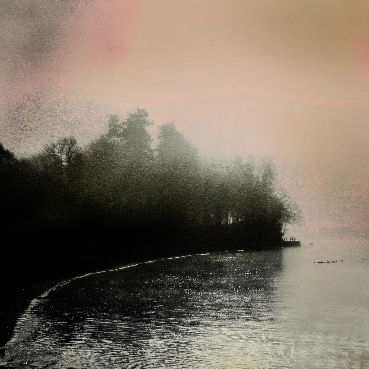 January Fog