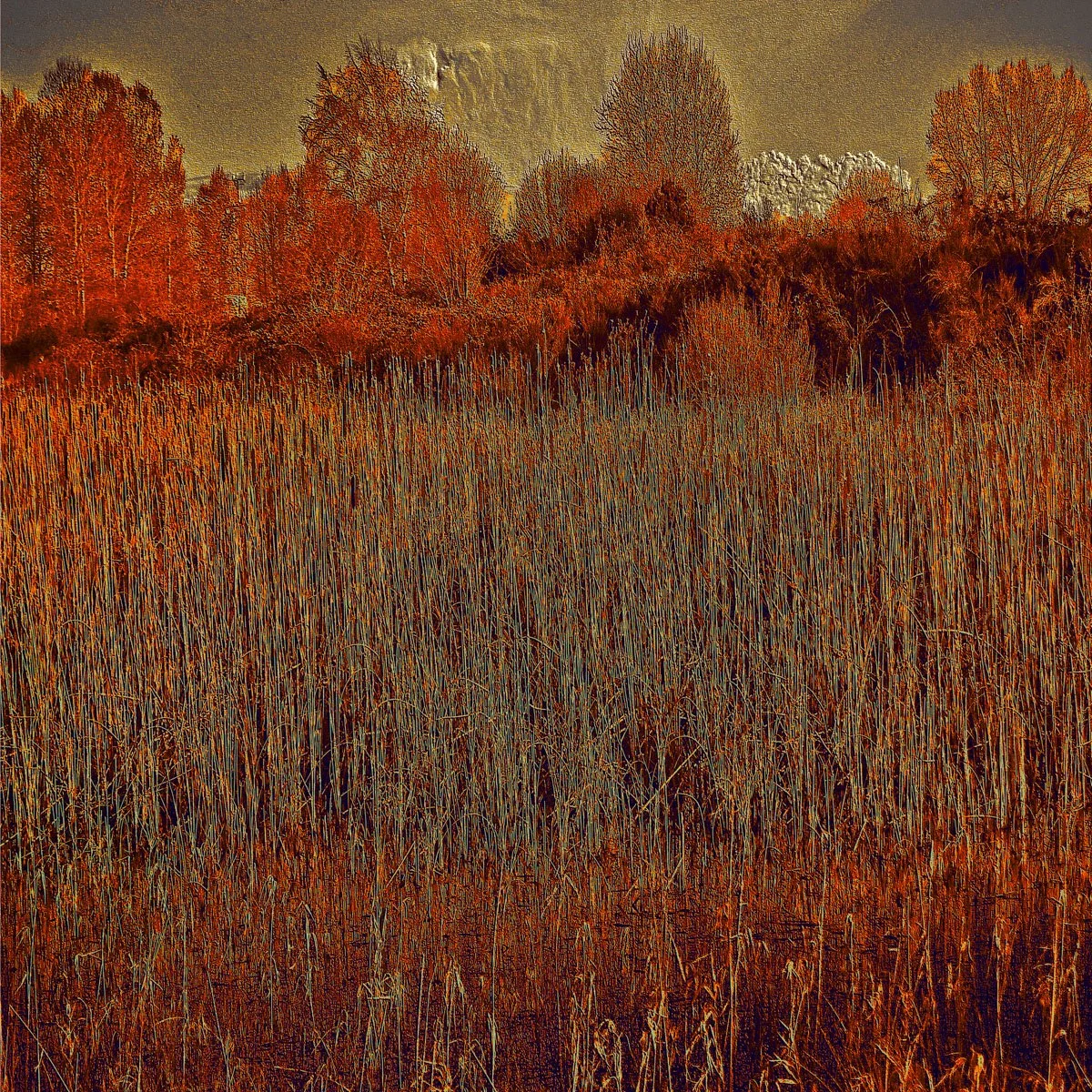 Rusty Landscape