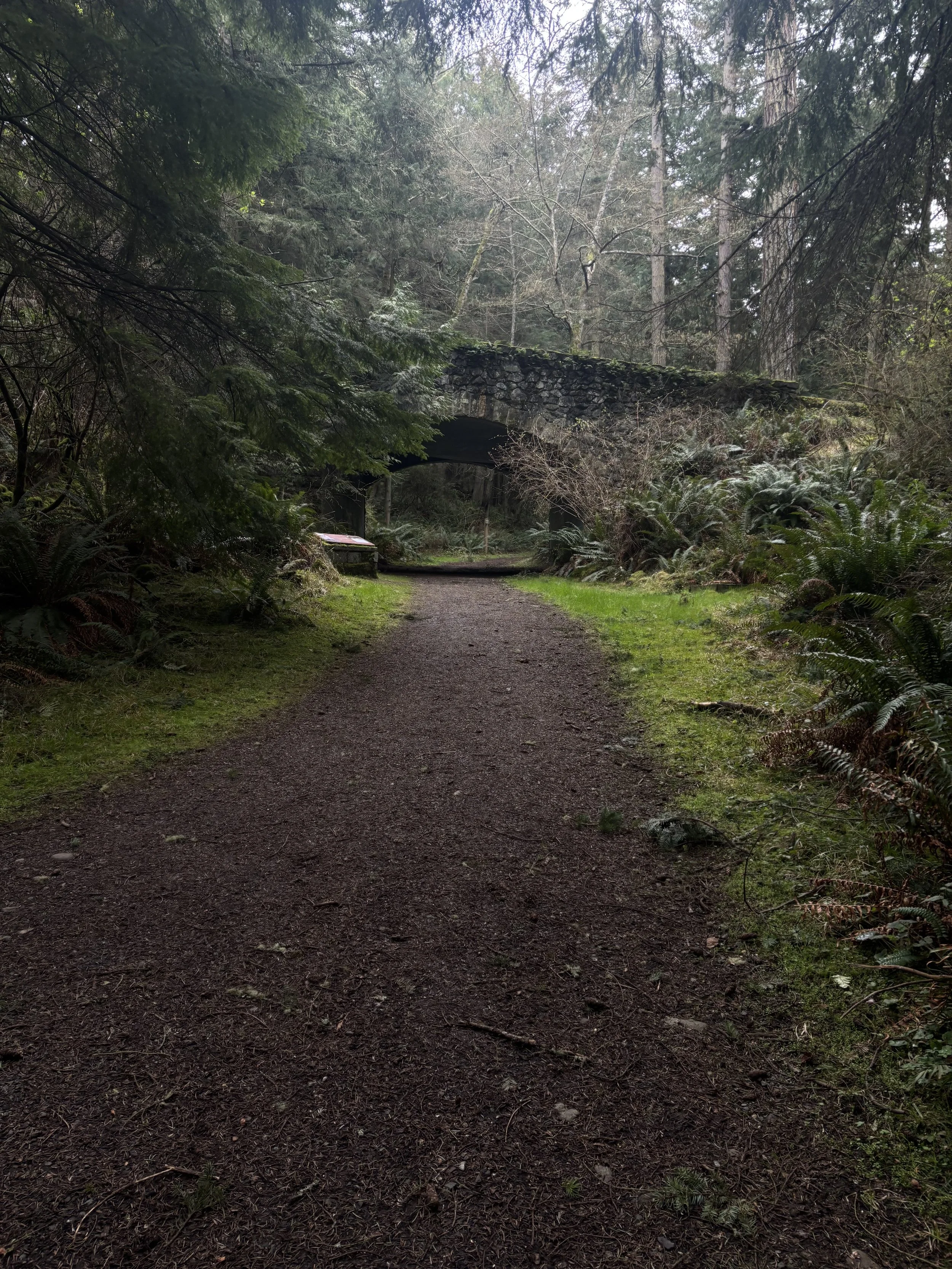 A dirt trail runs through a dense forest with tall trees and green foliage. An old stone bridge spans over the trail in the background, and there is an informational sign near the bridge. The scene is serene and slightly misty.
