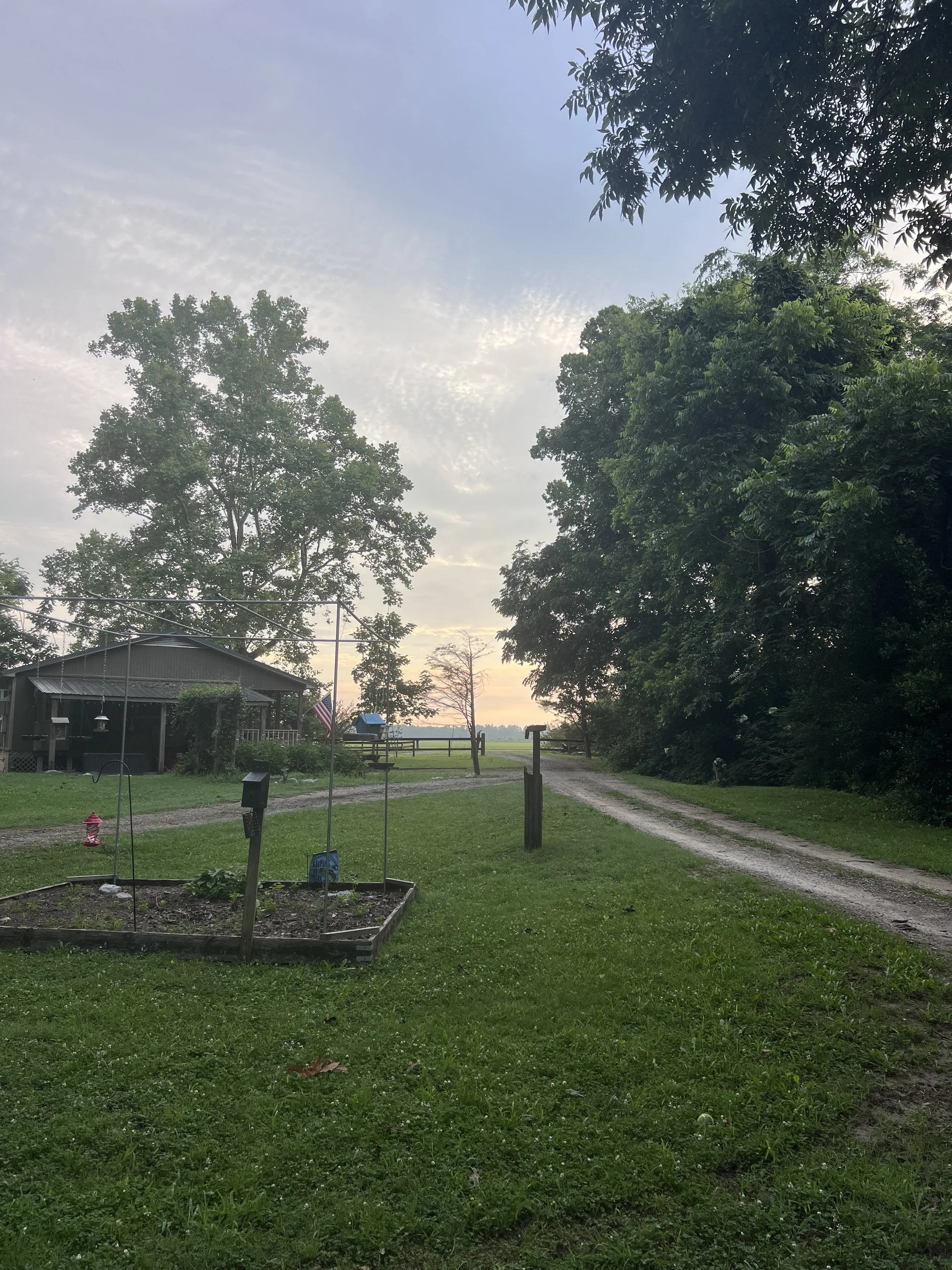 View from the driveway at sunset.