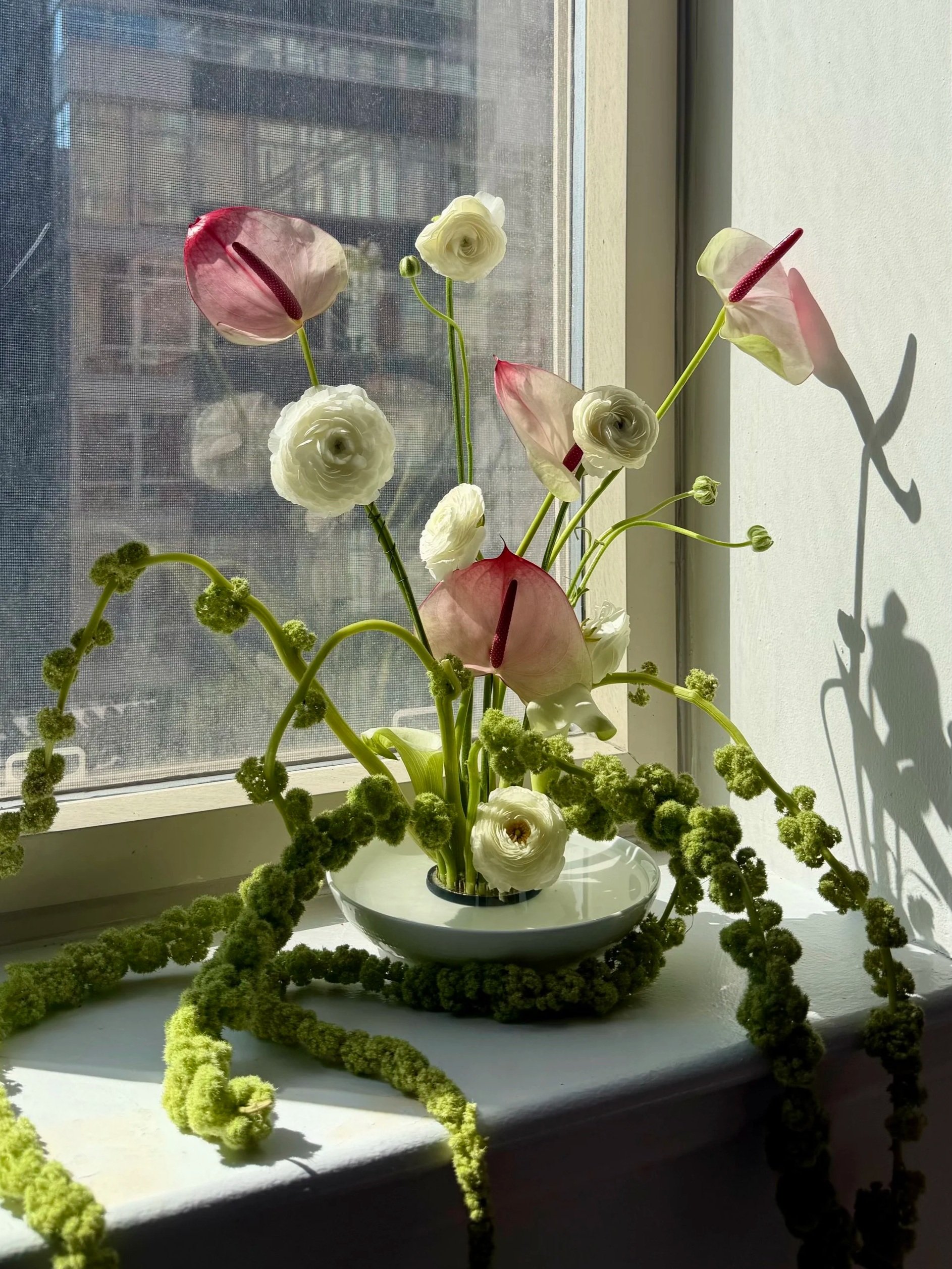 A floral arrangement featuring white ranunculus and pink anthuriums with long, curved stems, set in a white dish on a windowsill with sunlight casting shadows.