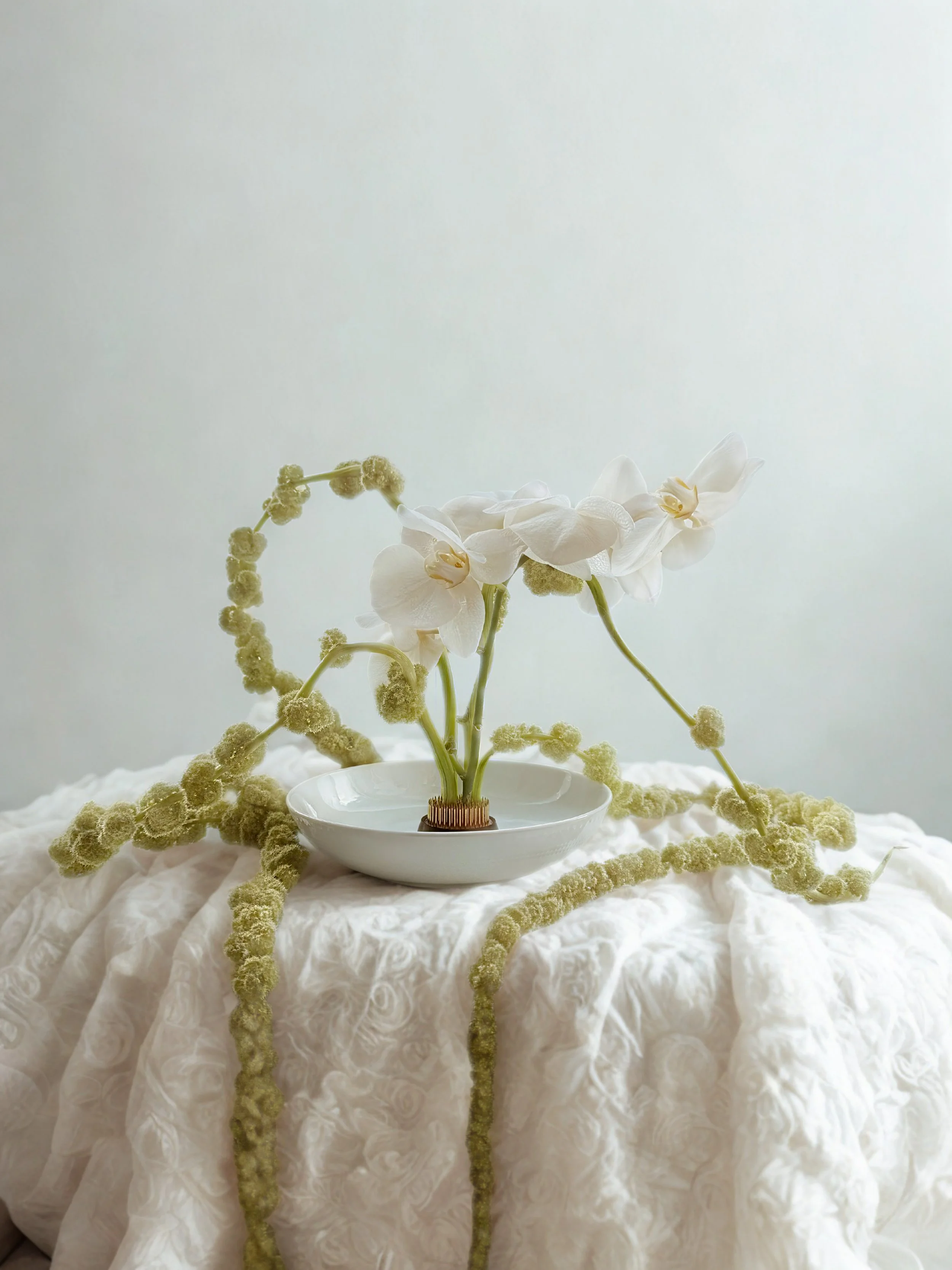 White orchid flowers arranged in a white bowl on a textured white fabric, with fuzzy green plant stems surrounding them.