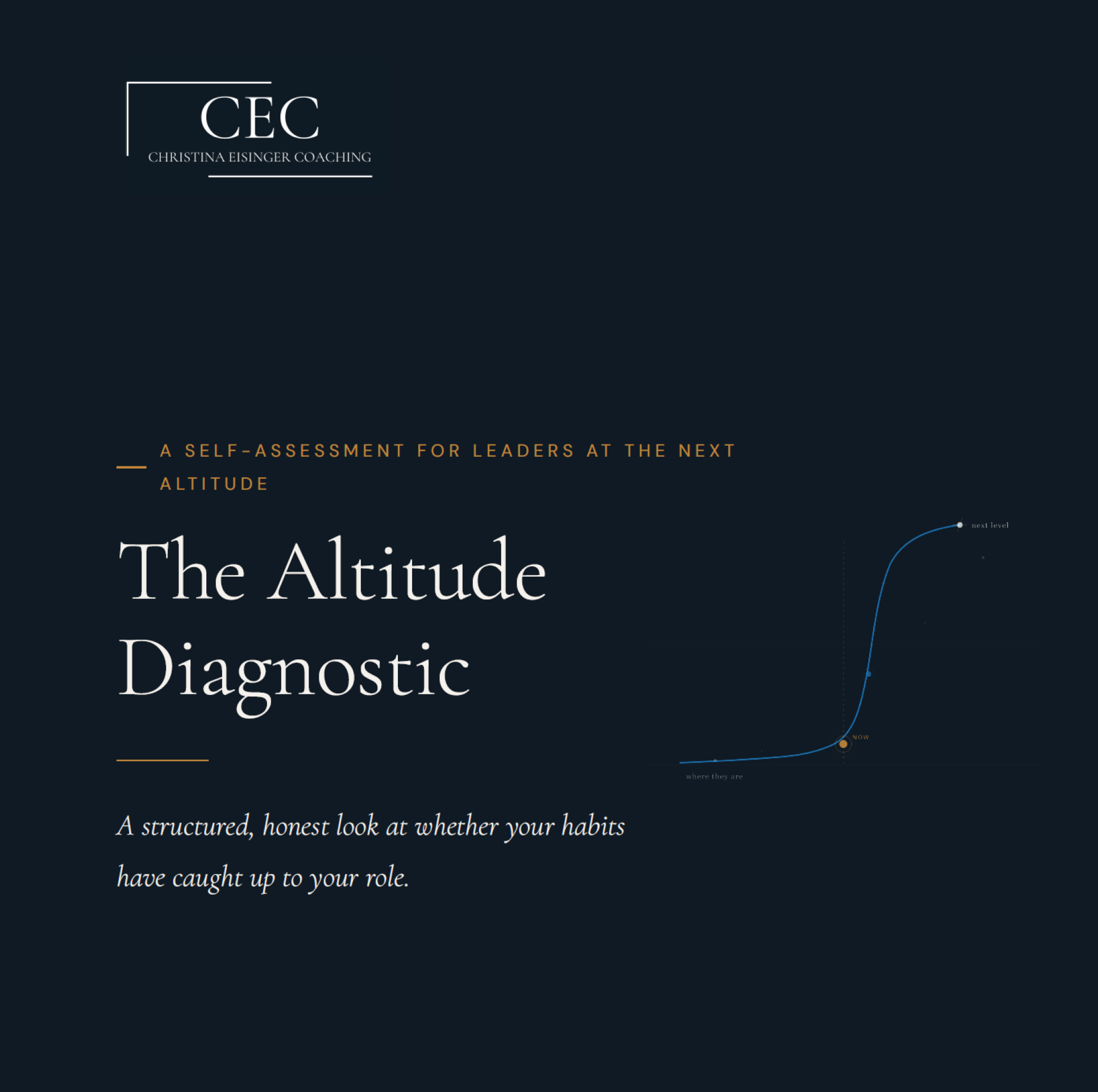 The_Altitude_Diagnostic 2026 COVER.pdf.png