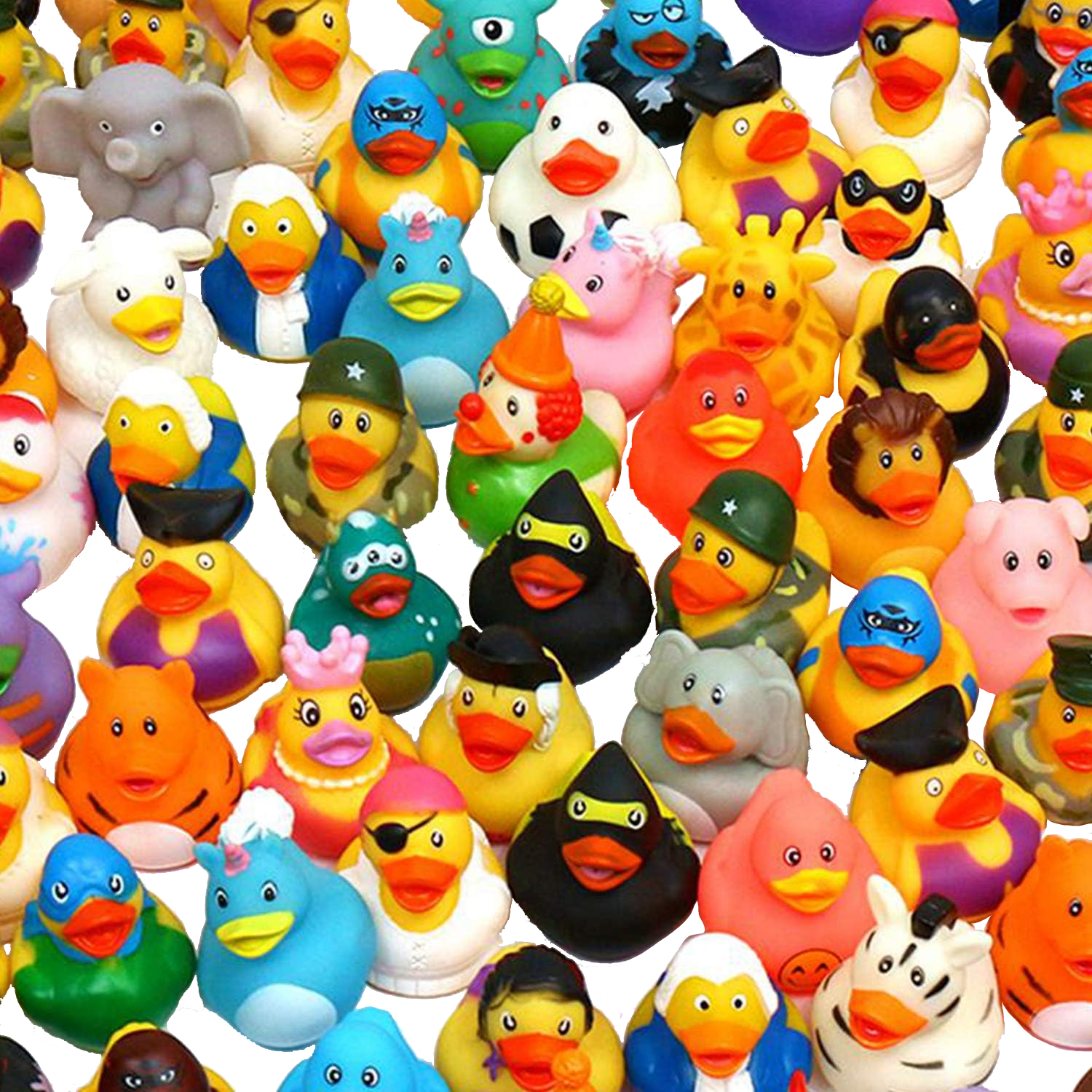 Duck 3.png