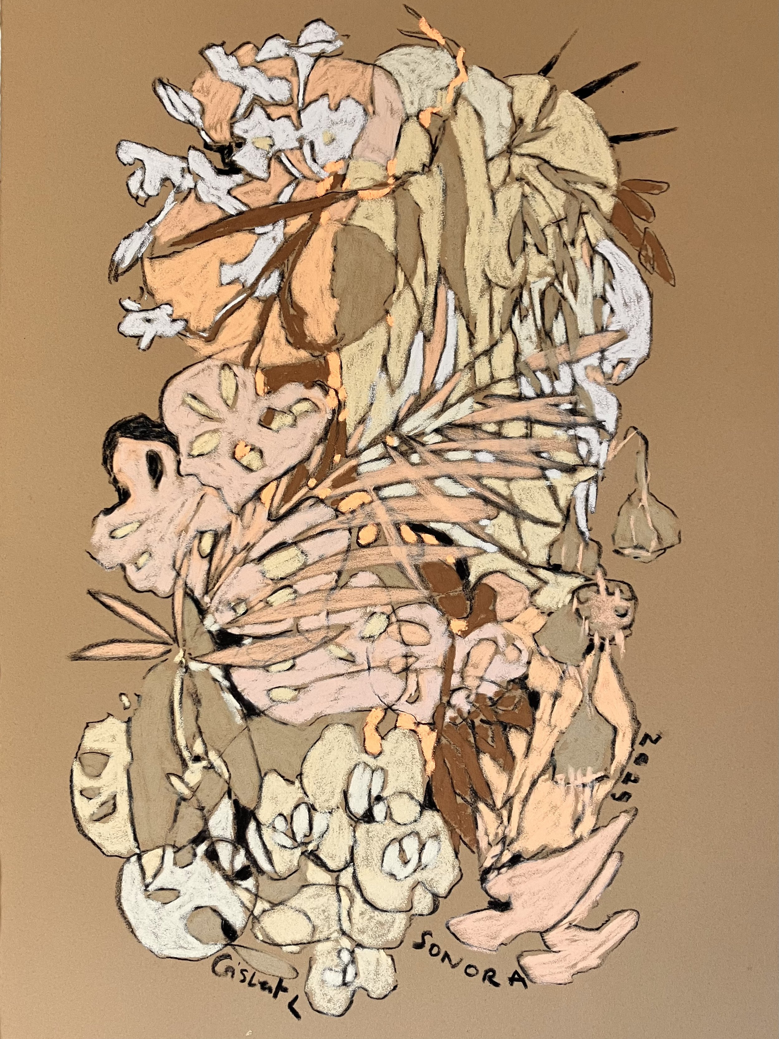 Sonora - 60x40 - vendu