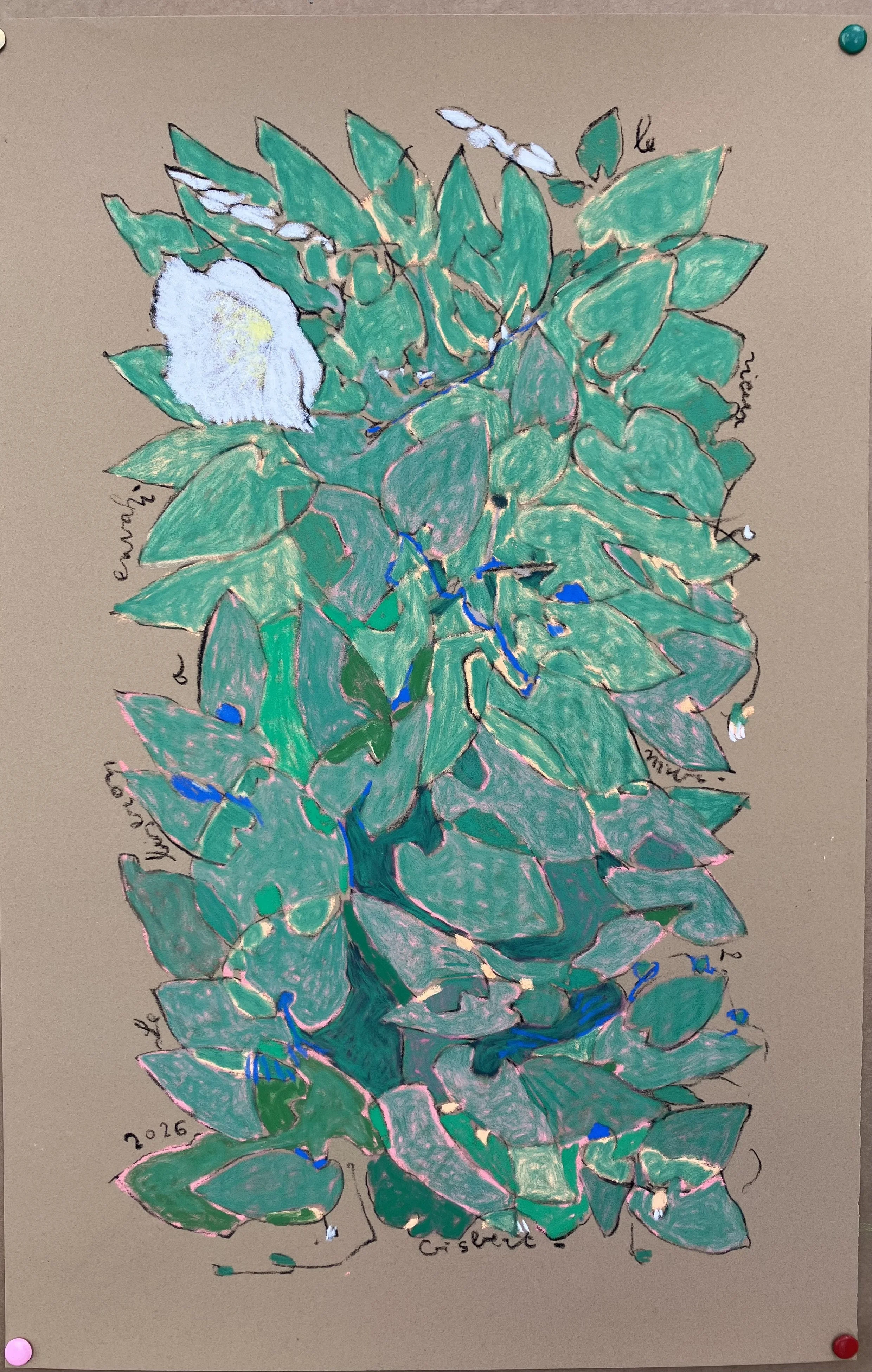 Le liseron a envahi le vieux mur - 60x40
