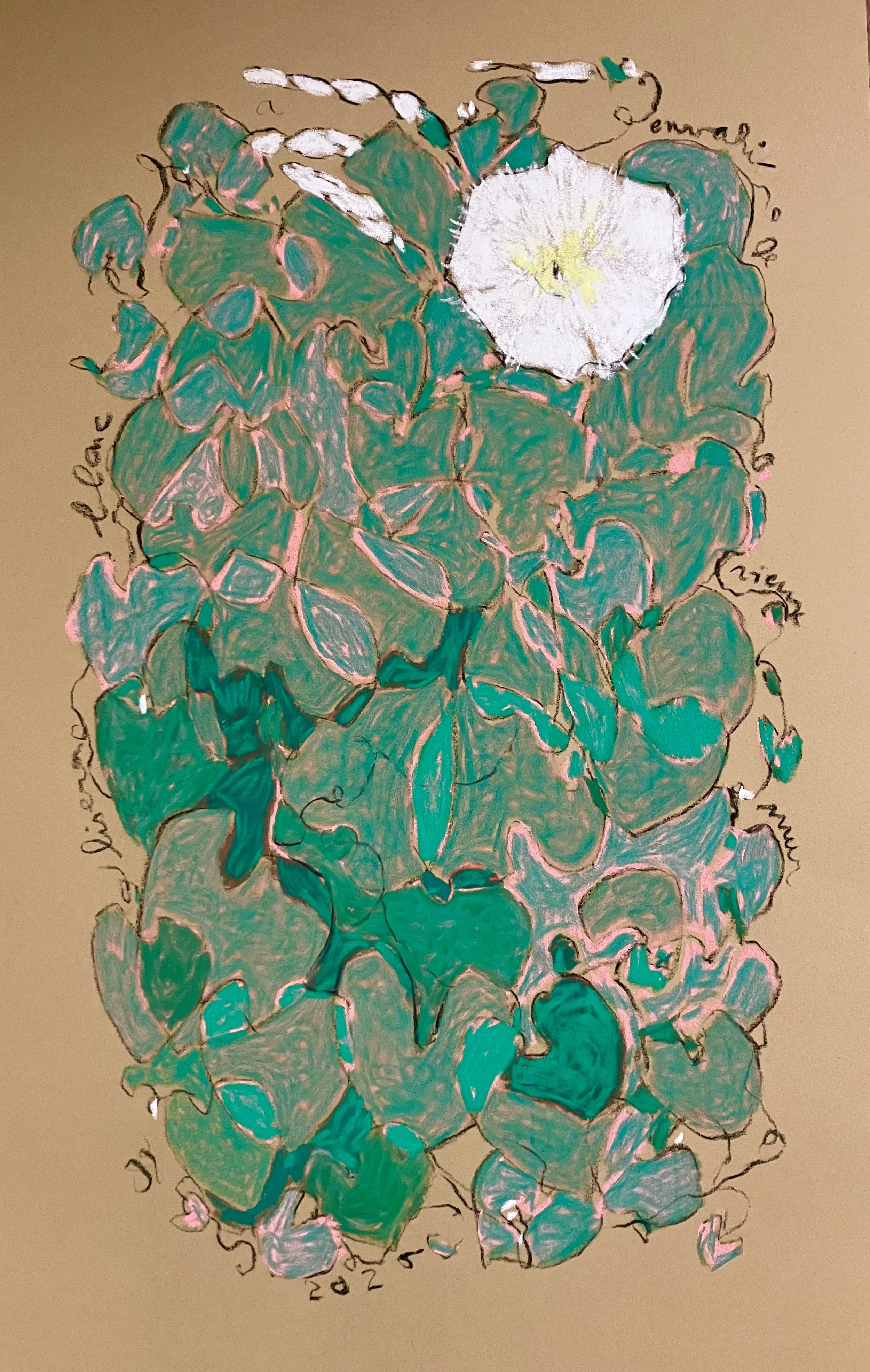 Le liseron a envahi le vieux mur - 60x40