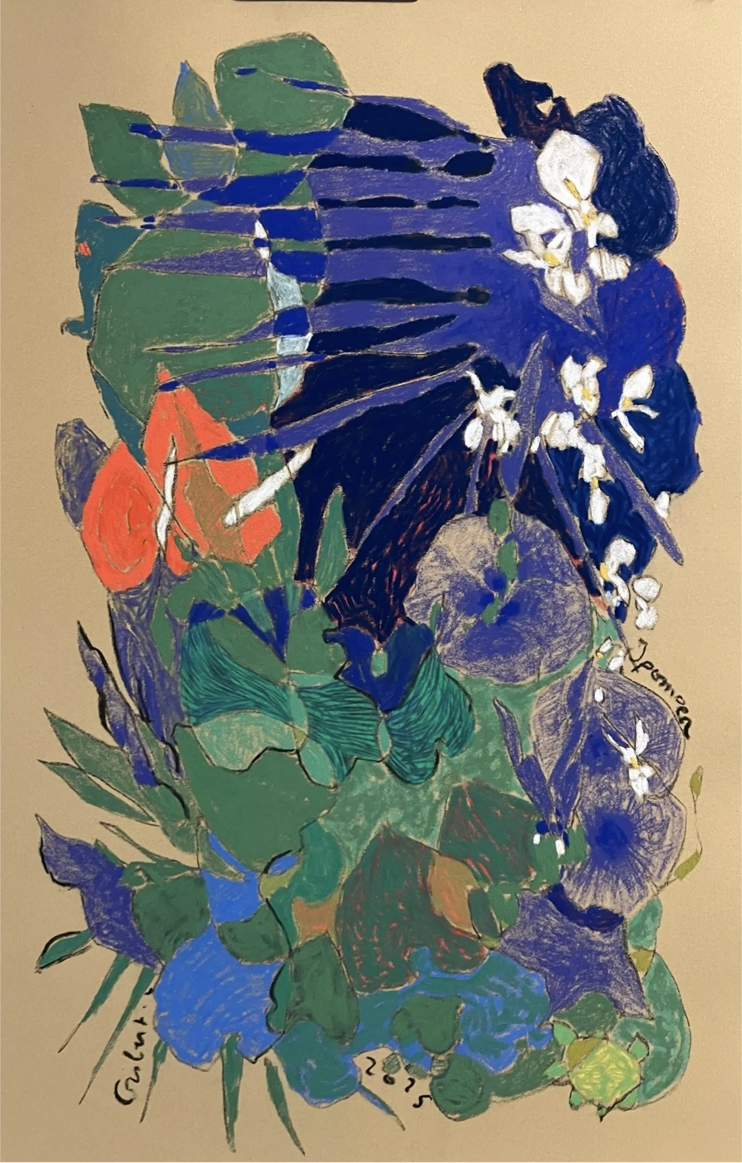 Ipoméa - 60x40