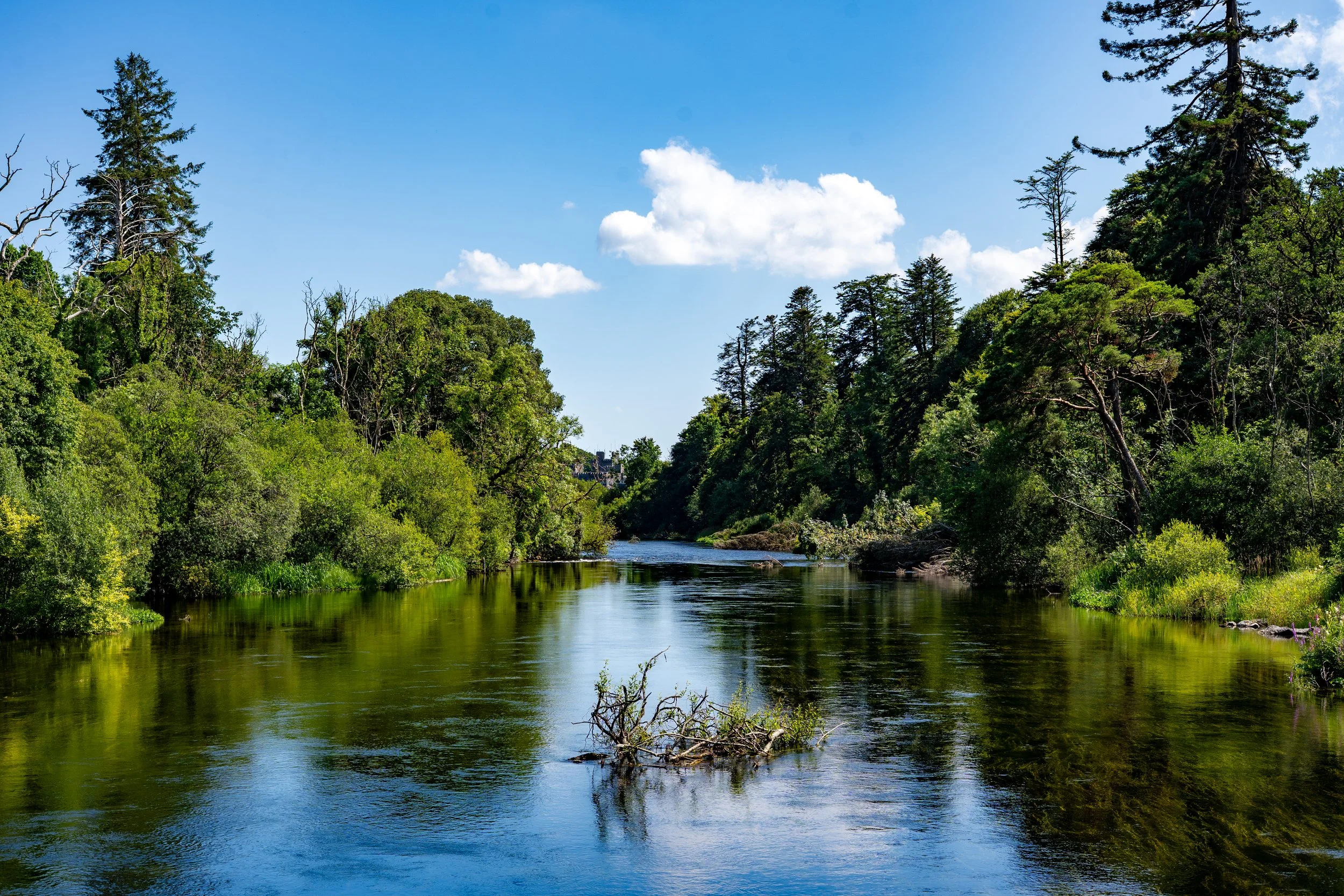 A scenic view of a river flowing through lush green forest with tall trees on either side, under a bright blue sky with scattered clouds.