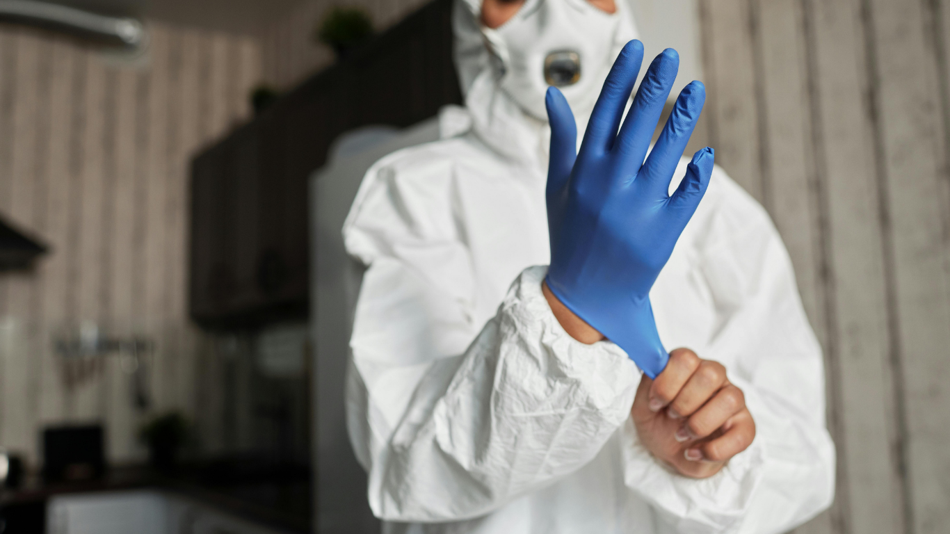 A person in white protective clothing puts on a blue glove in a room with wooden walls.