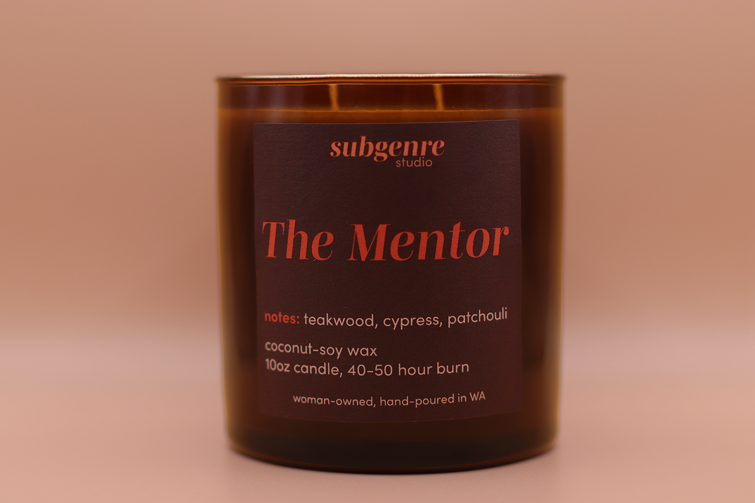 mentor1_sm.png
